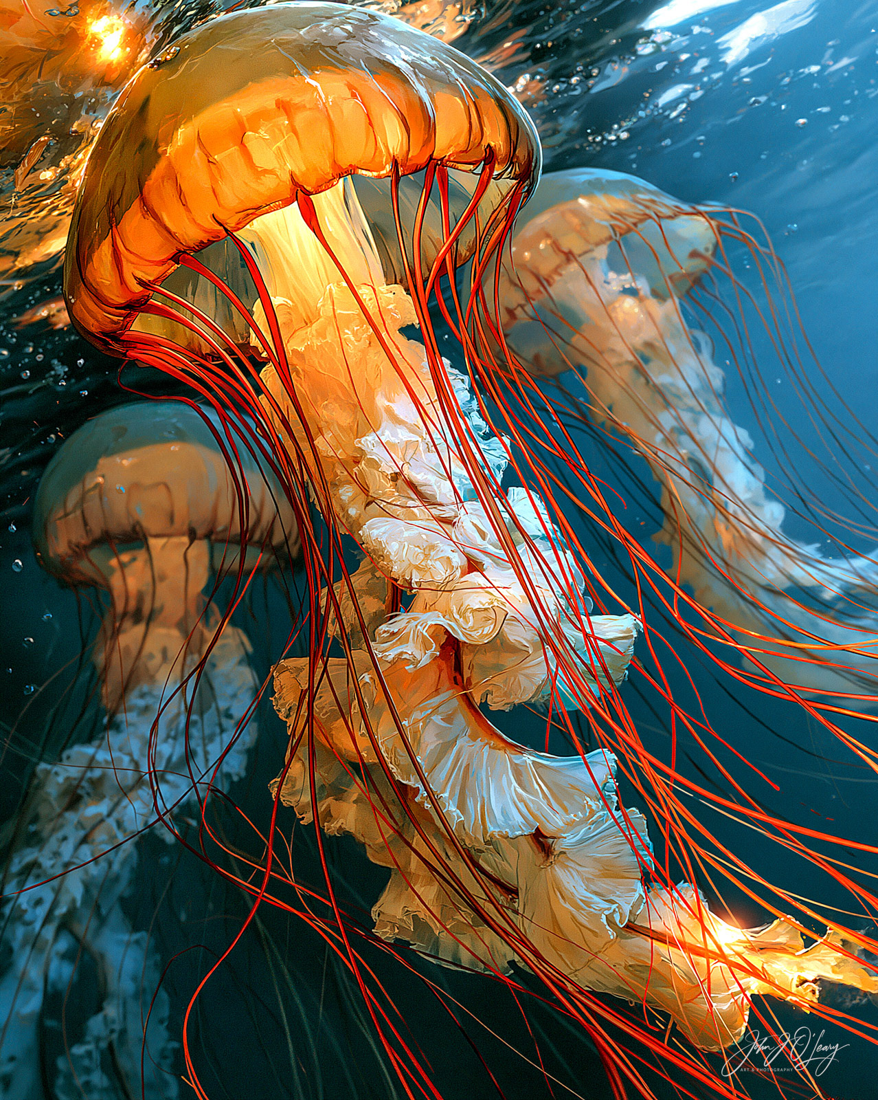LION'S MANE JELLYFISH