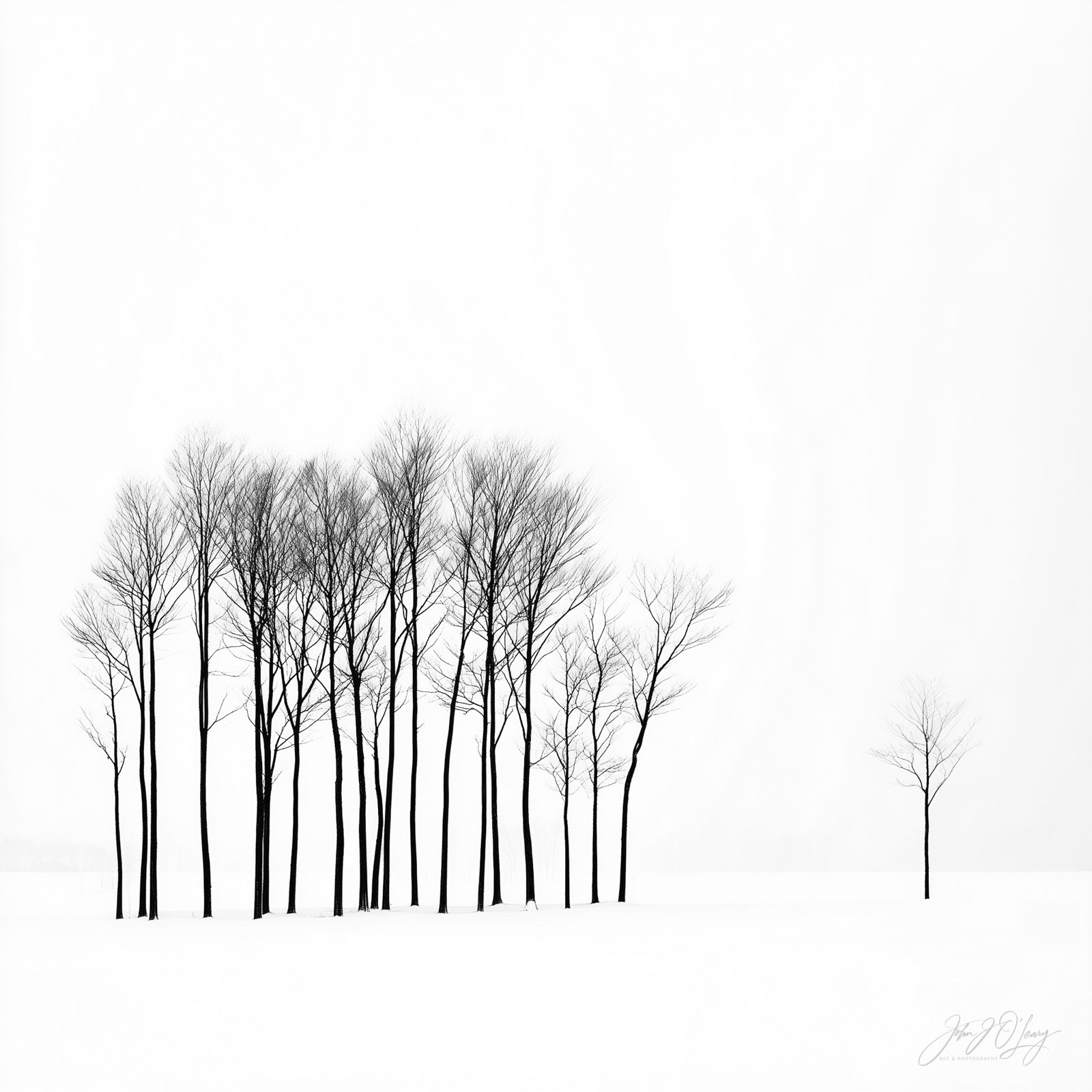 FEELING ISOLATED