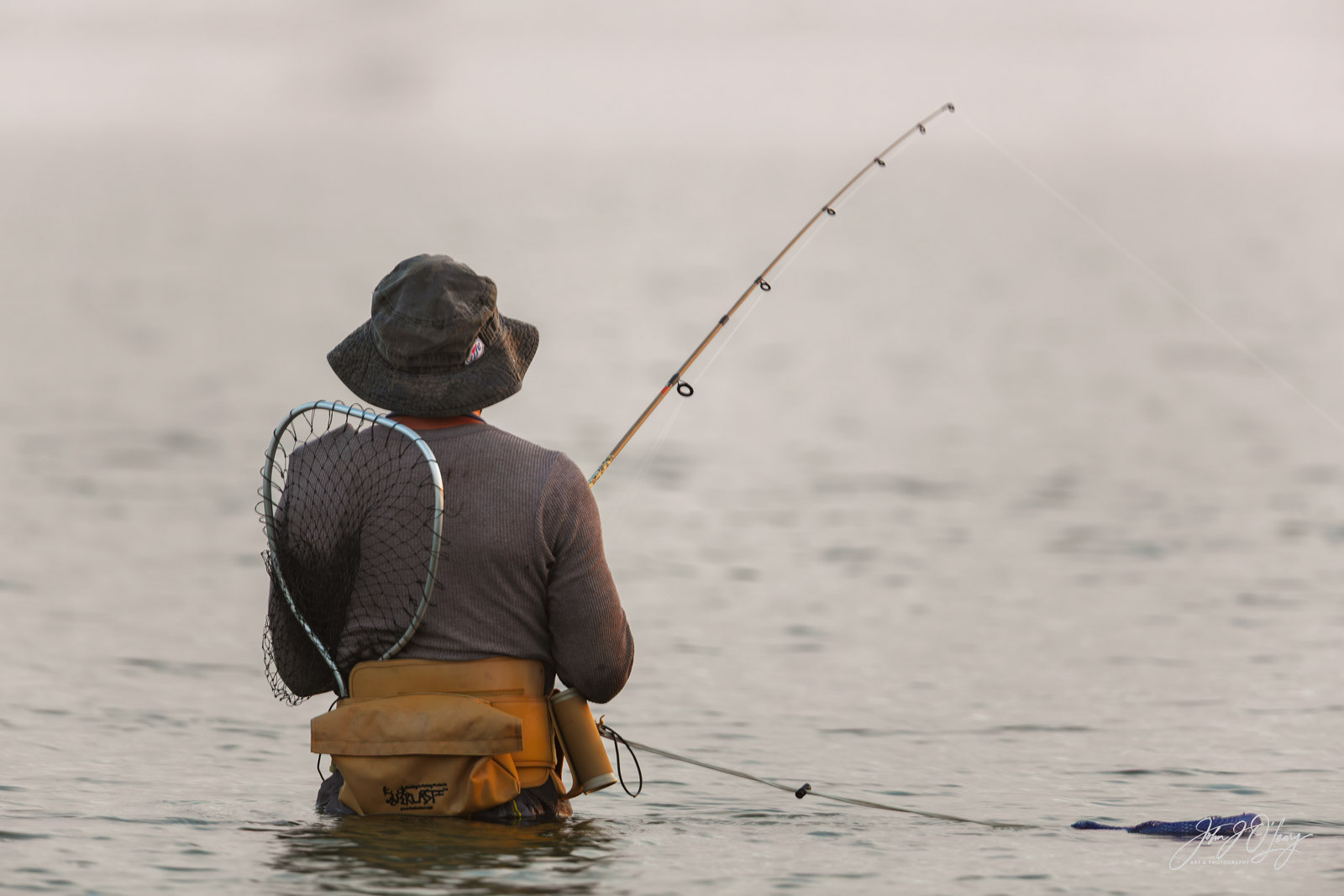 FISHING IN THE FOG | GULF COAST