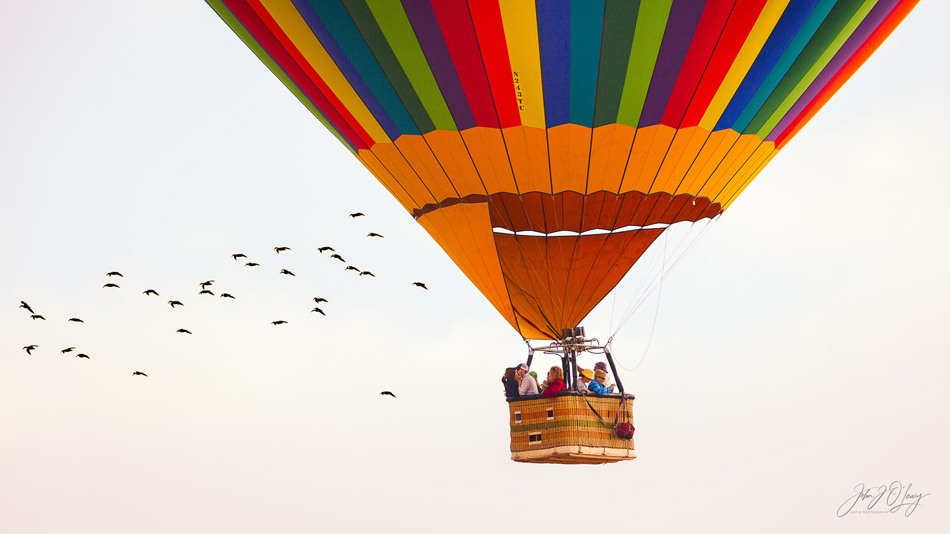 HOT AIR BALLOON AND DUCKS - ARIZONA