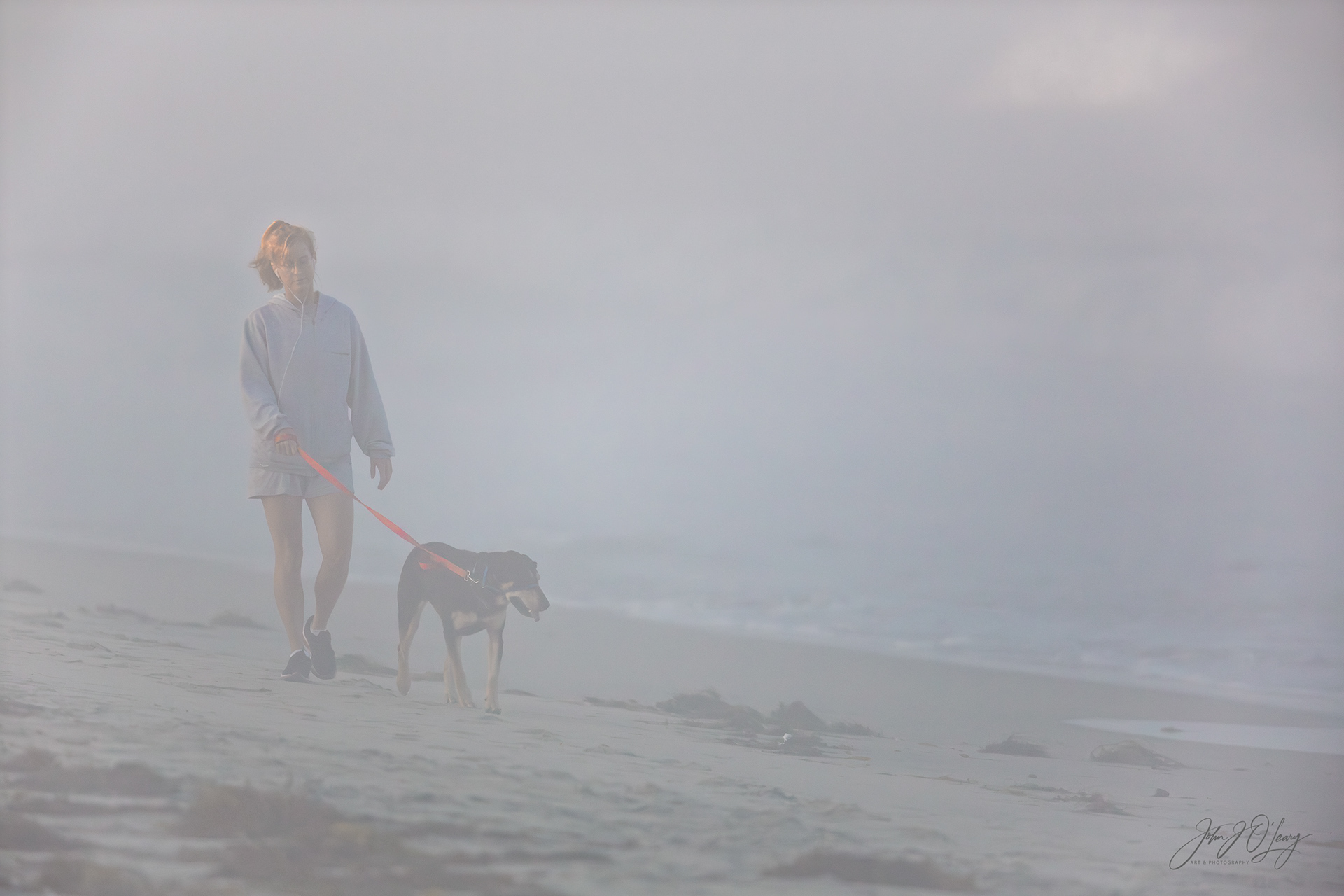 WALKING HER DOG IN THE FOG - CALIFORNIA