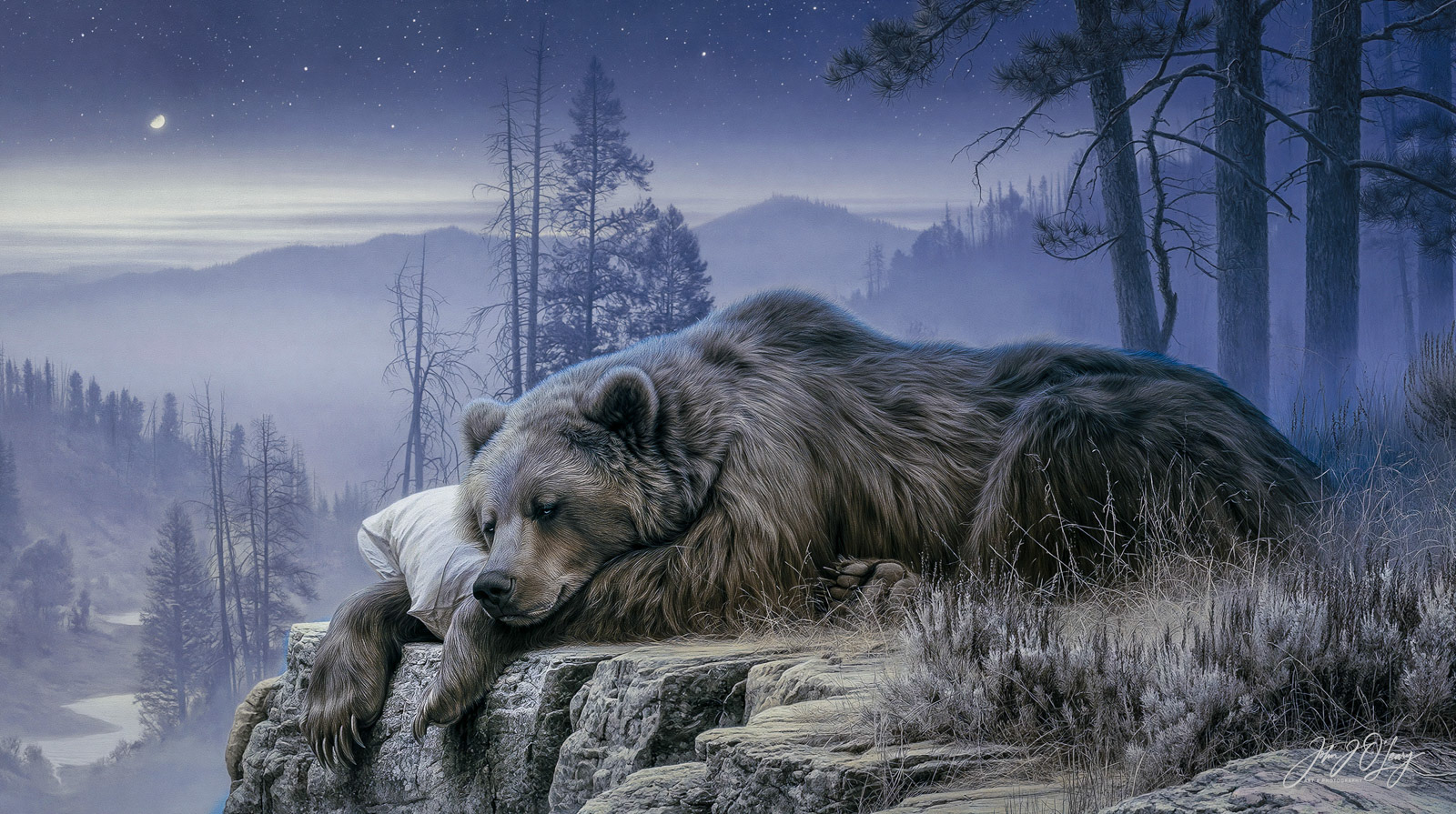 GRIZZLY RESTING HIS HEAD ON A PILLOW