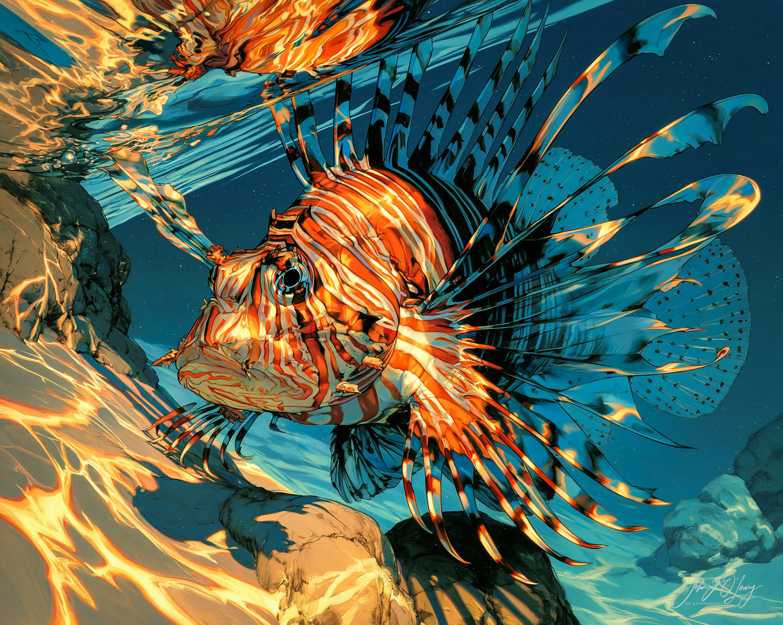 LIONFISH CLOSE-UP