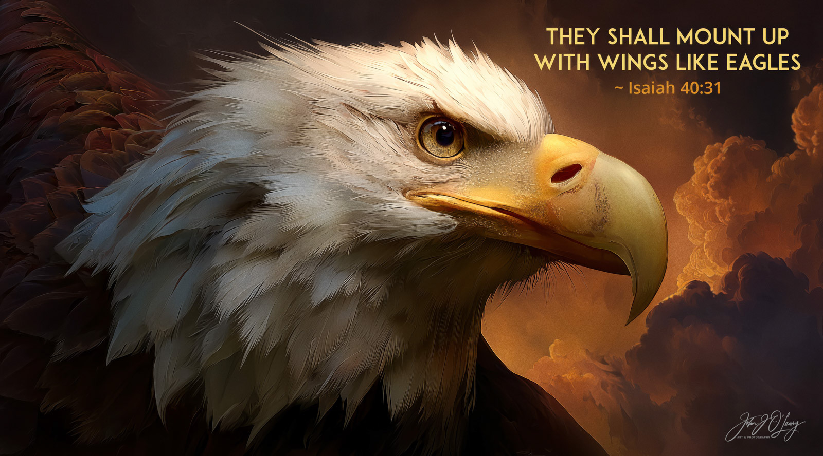 WINGS LIKE EAGLES