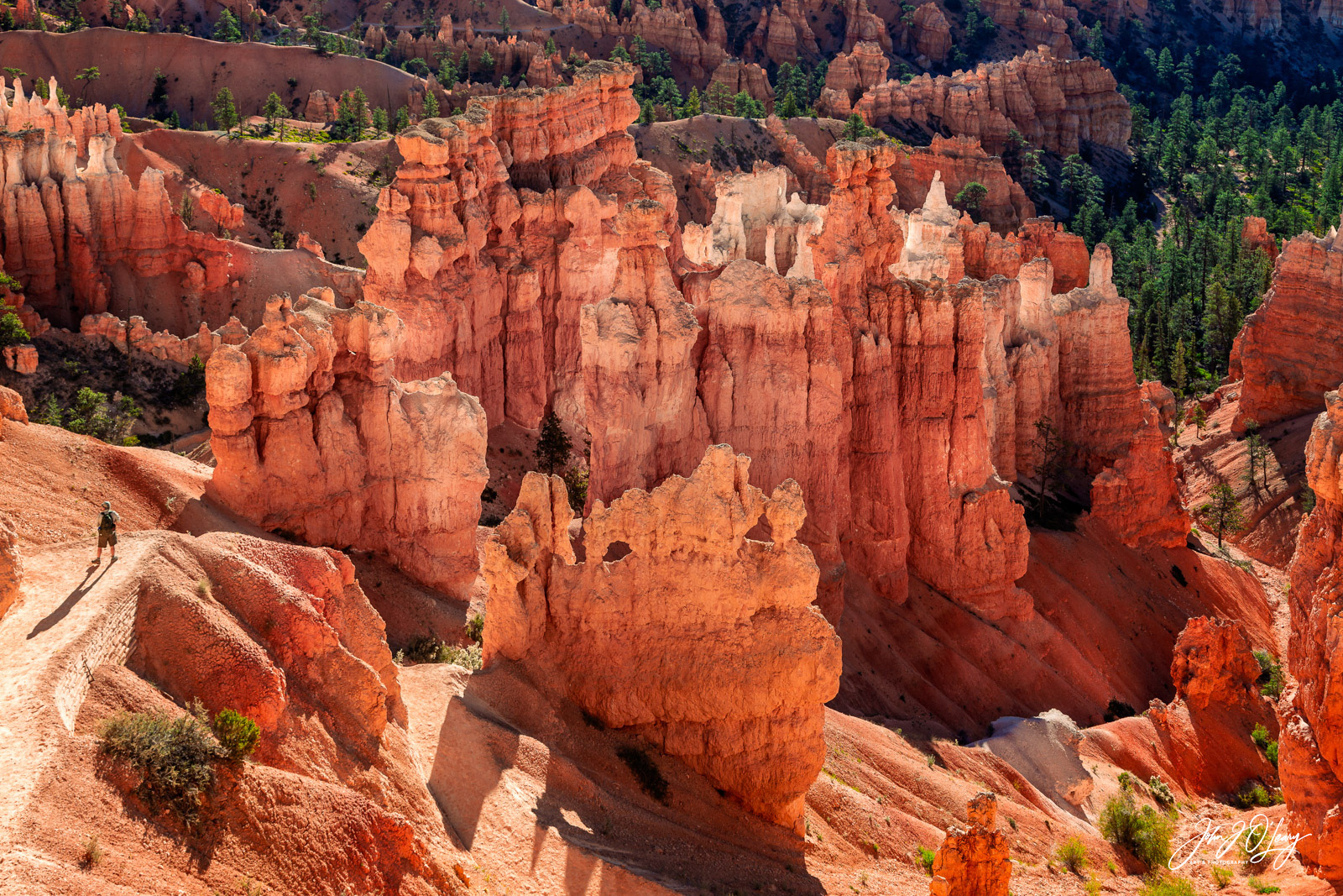 HIKER IN BRYCE CANYON - UTAH