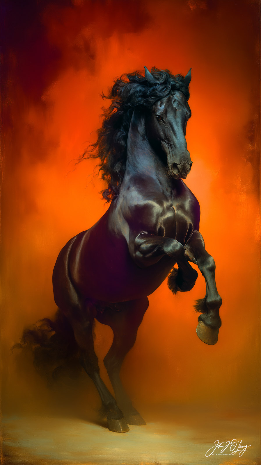 BLACK STALLION