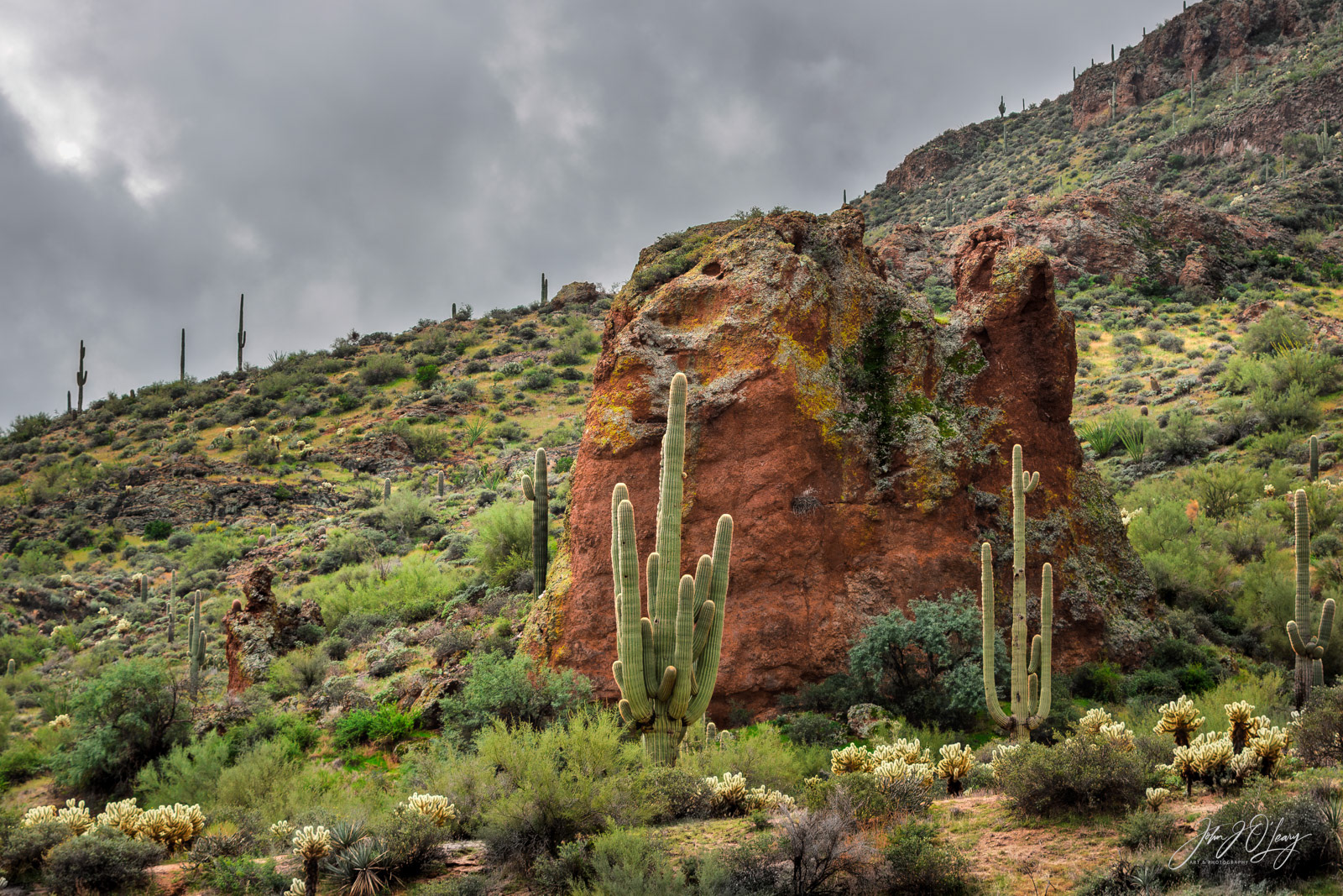 SAGUARO AND RED ROCK