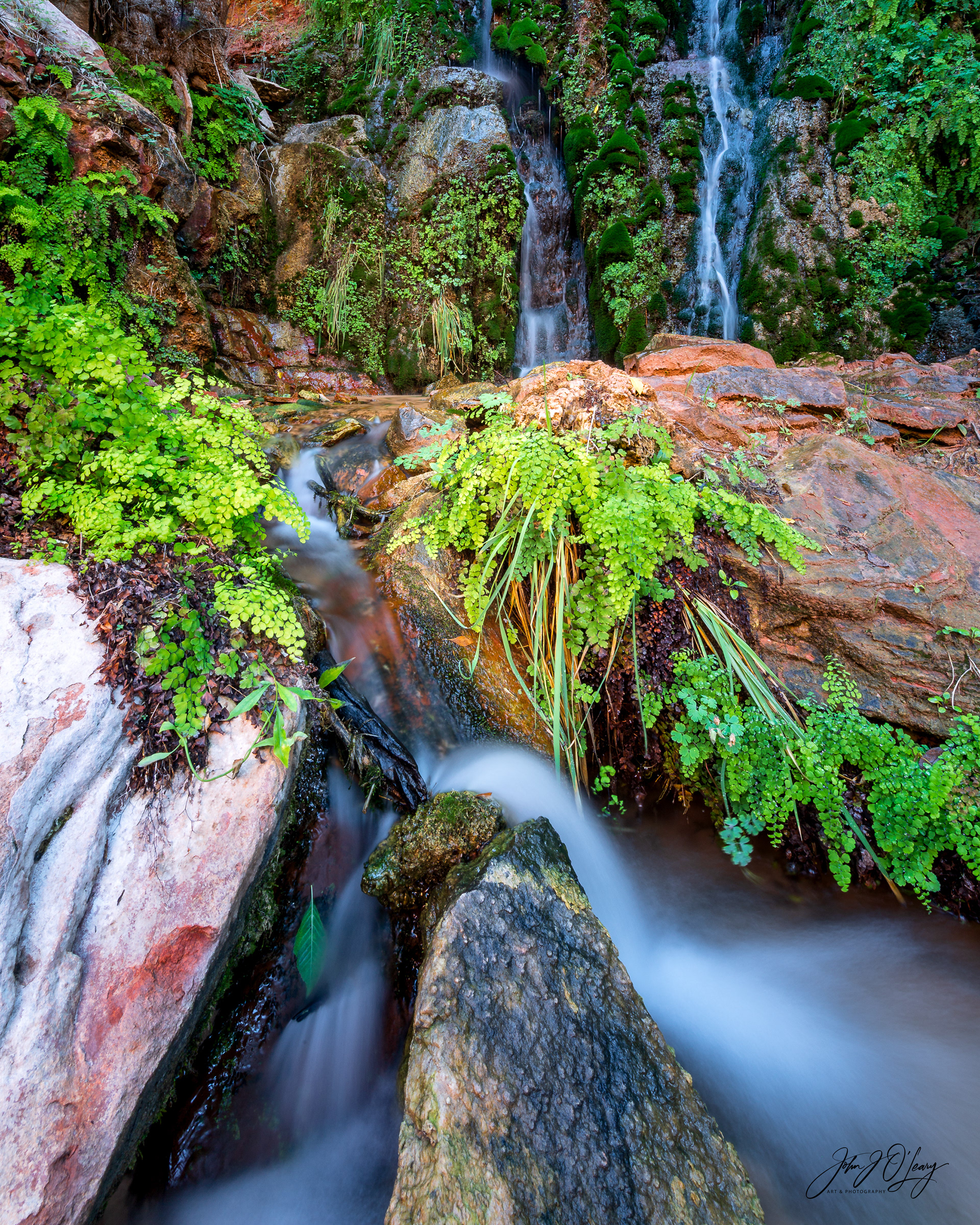 HIDDEN SPRING IN ZION - UTAH