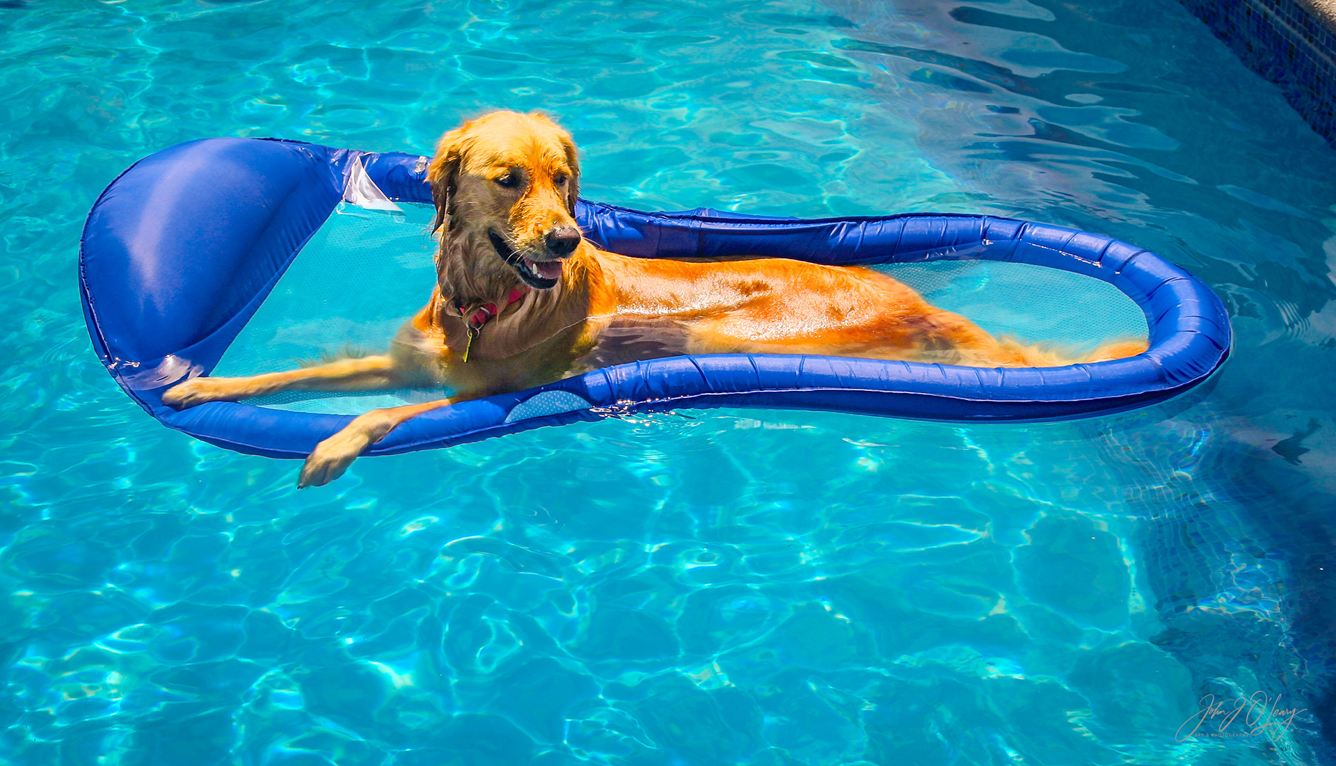 THIS IS THE LIFE - MEXICO