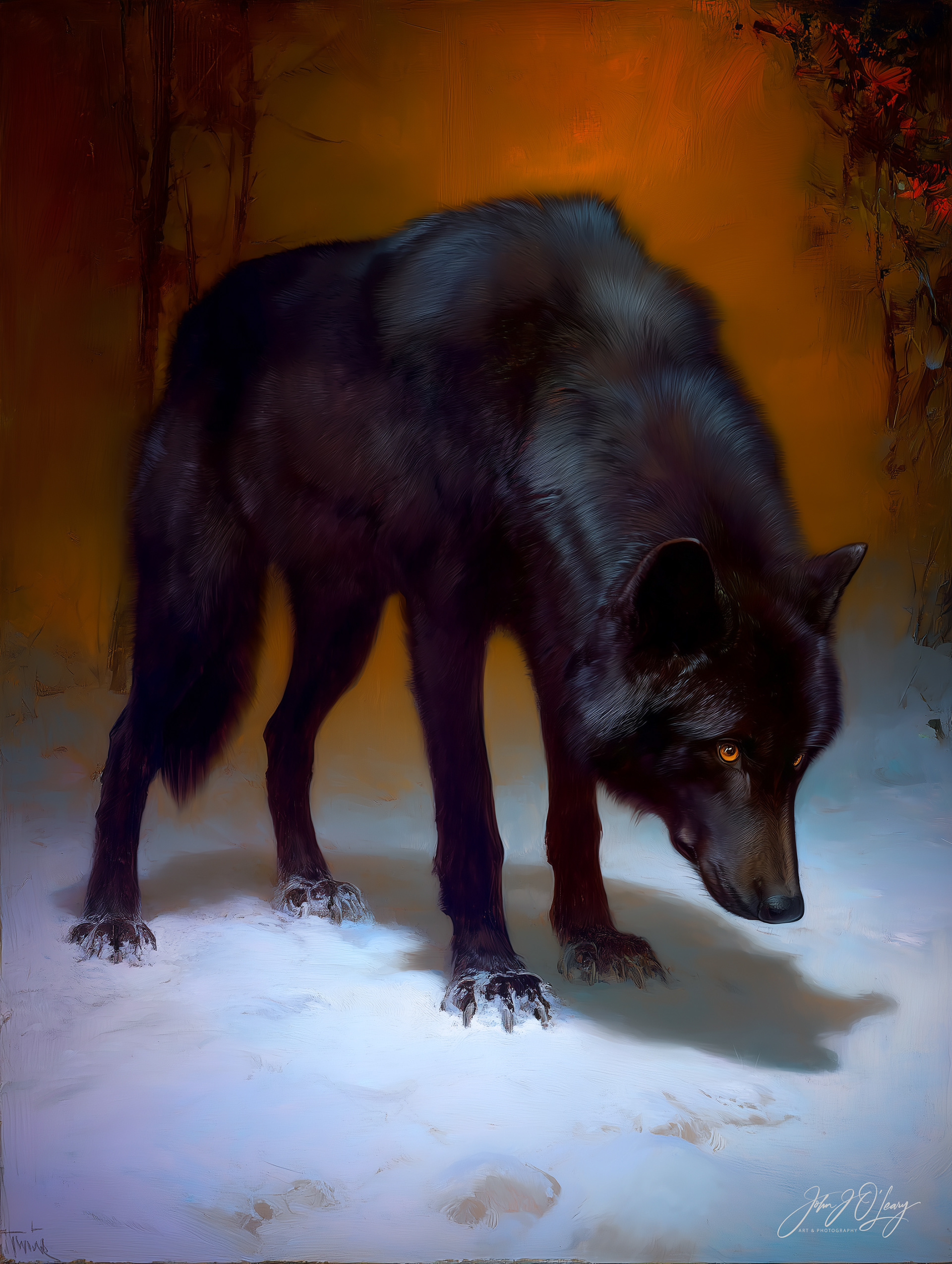 BLACK WOLF | WAITING