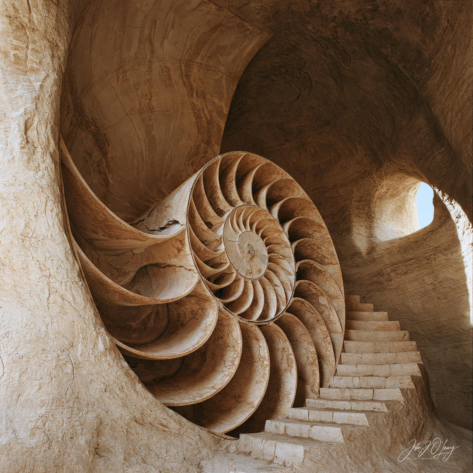 NAUTILUS CAVE