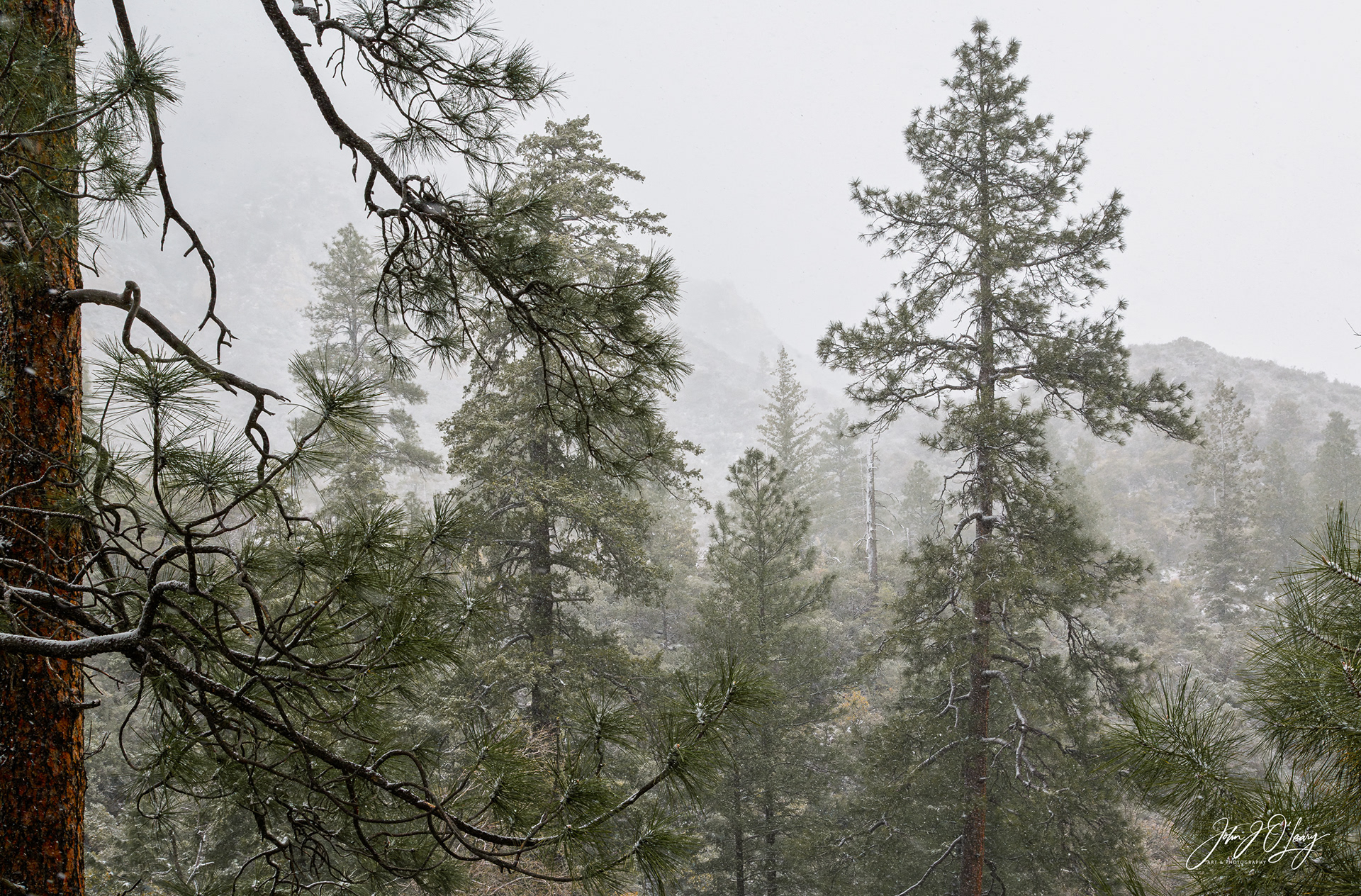 APRIL SNOW STORM IN SEDONA - ARIZONA