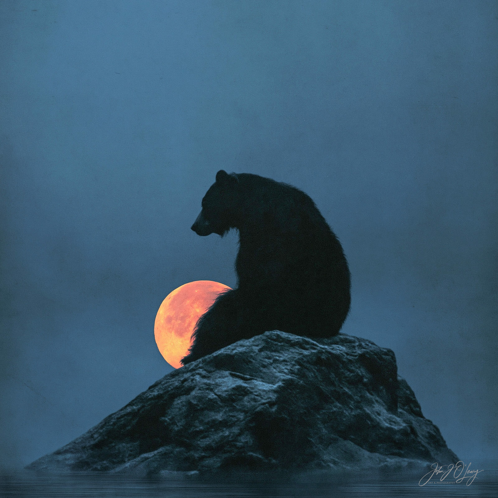 SITTING BEAR