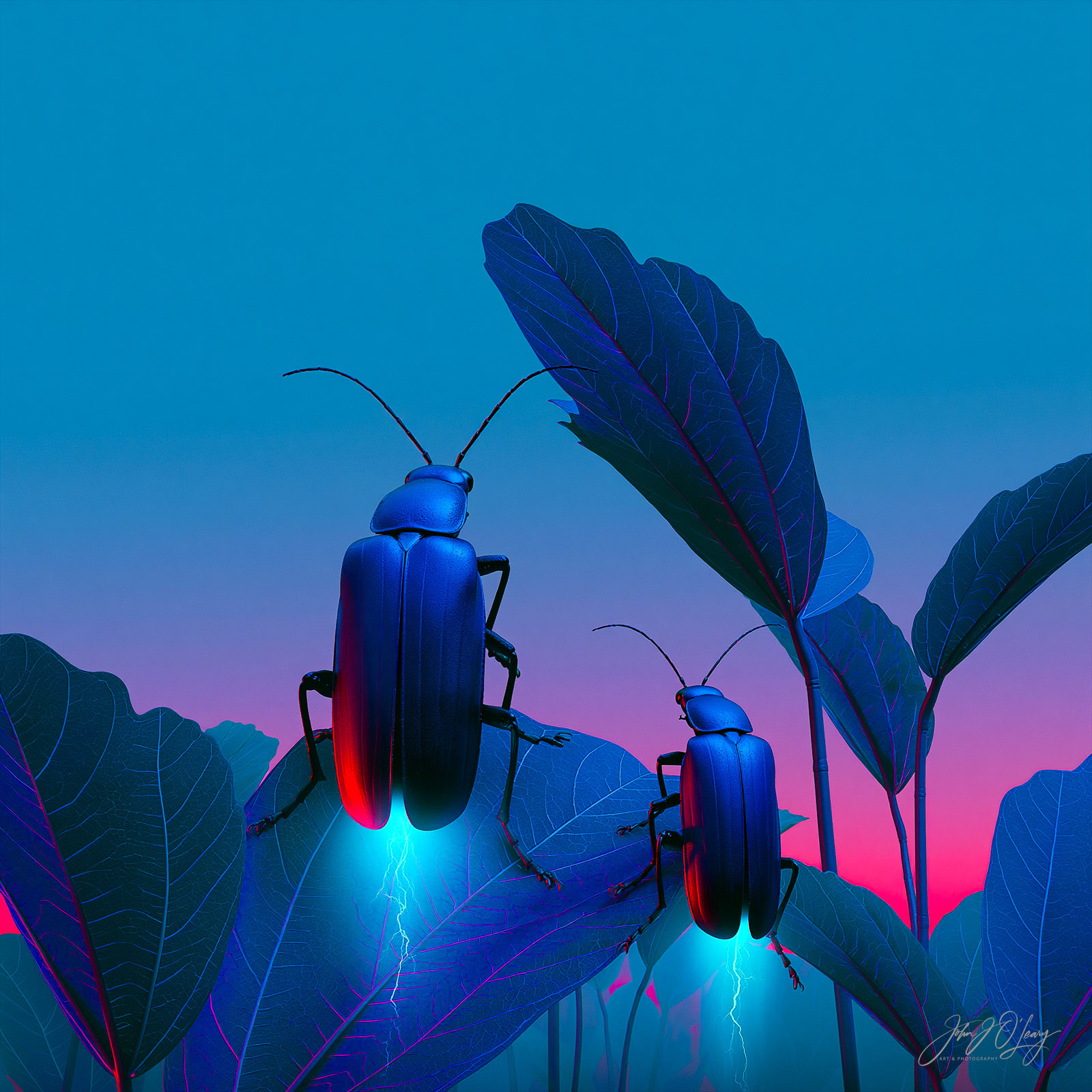 LIGHTNING BUGS