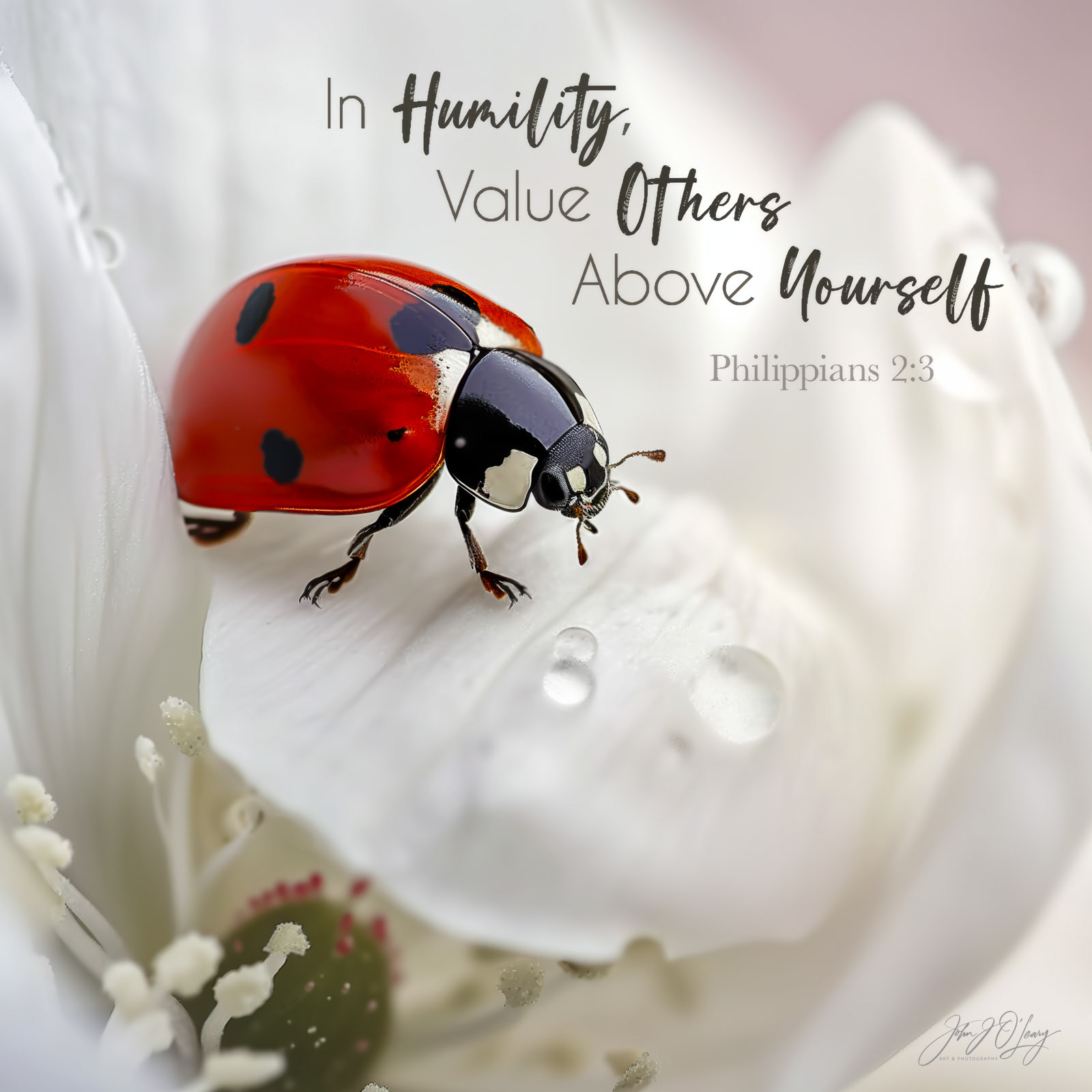 HUMBLE