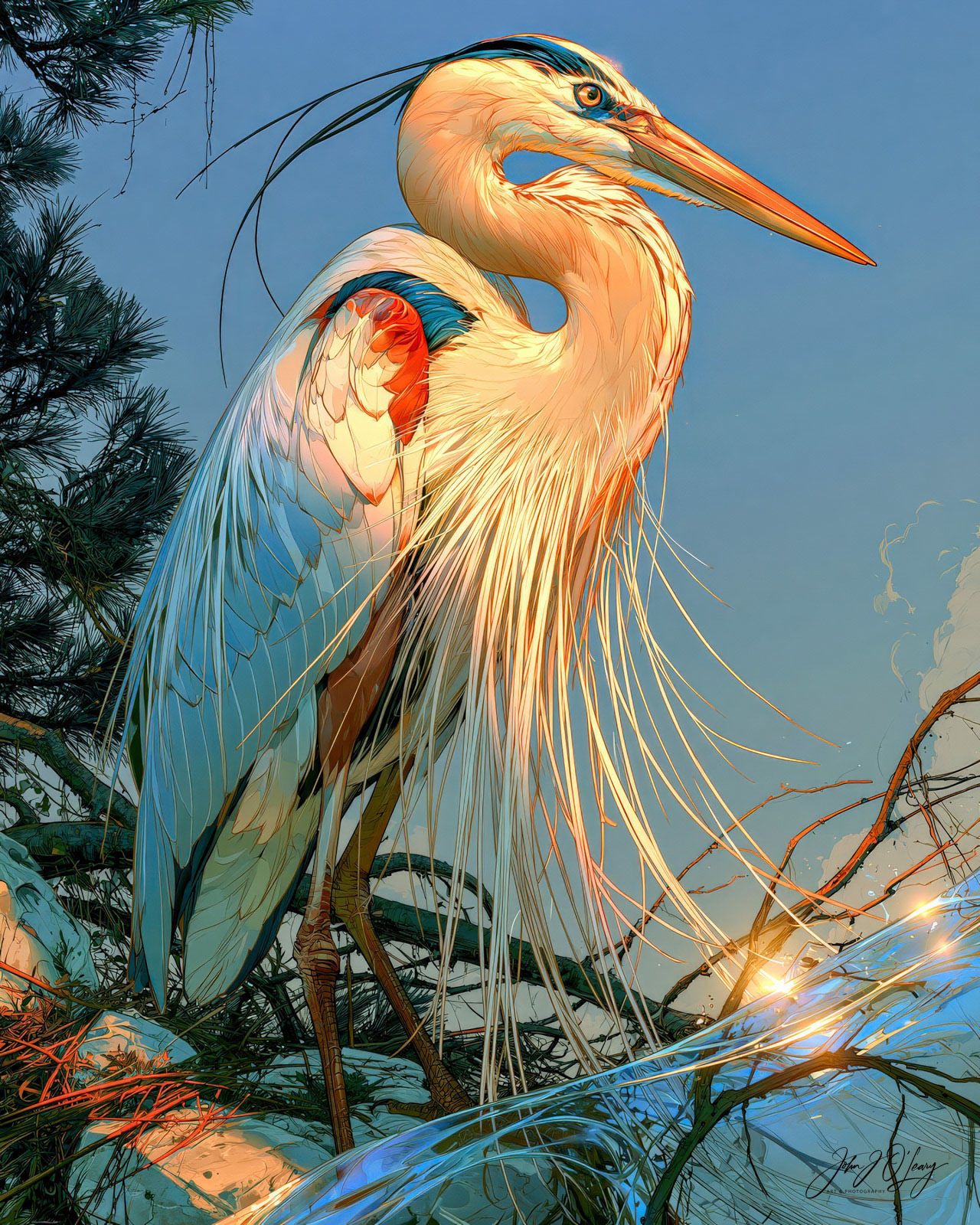 GREAT BLUE HERON CLOSE-UP
