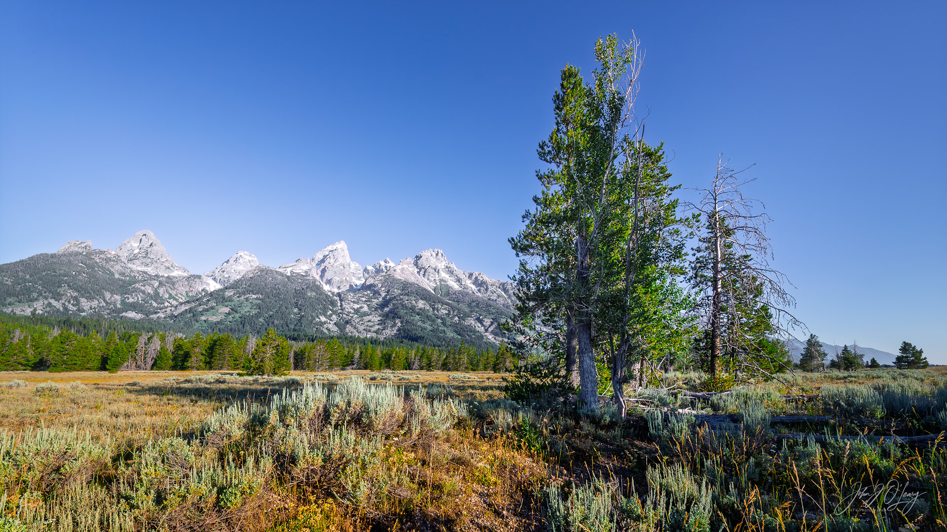 TETON RANGE - WYOMING