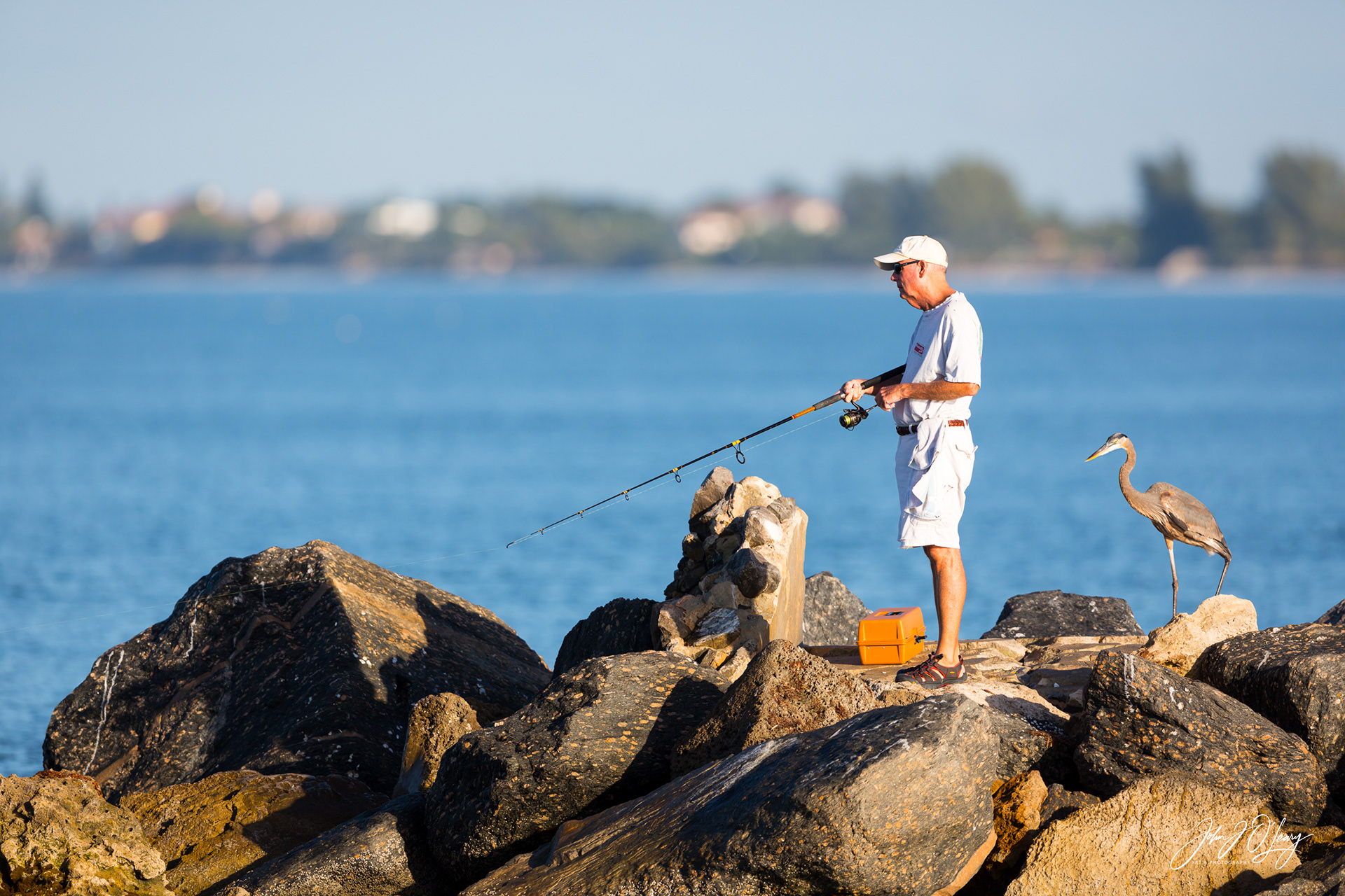 POTENTIAL BAIT THIEF - FLORIDA