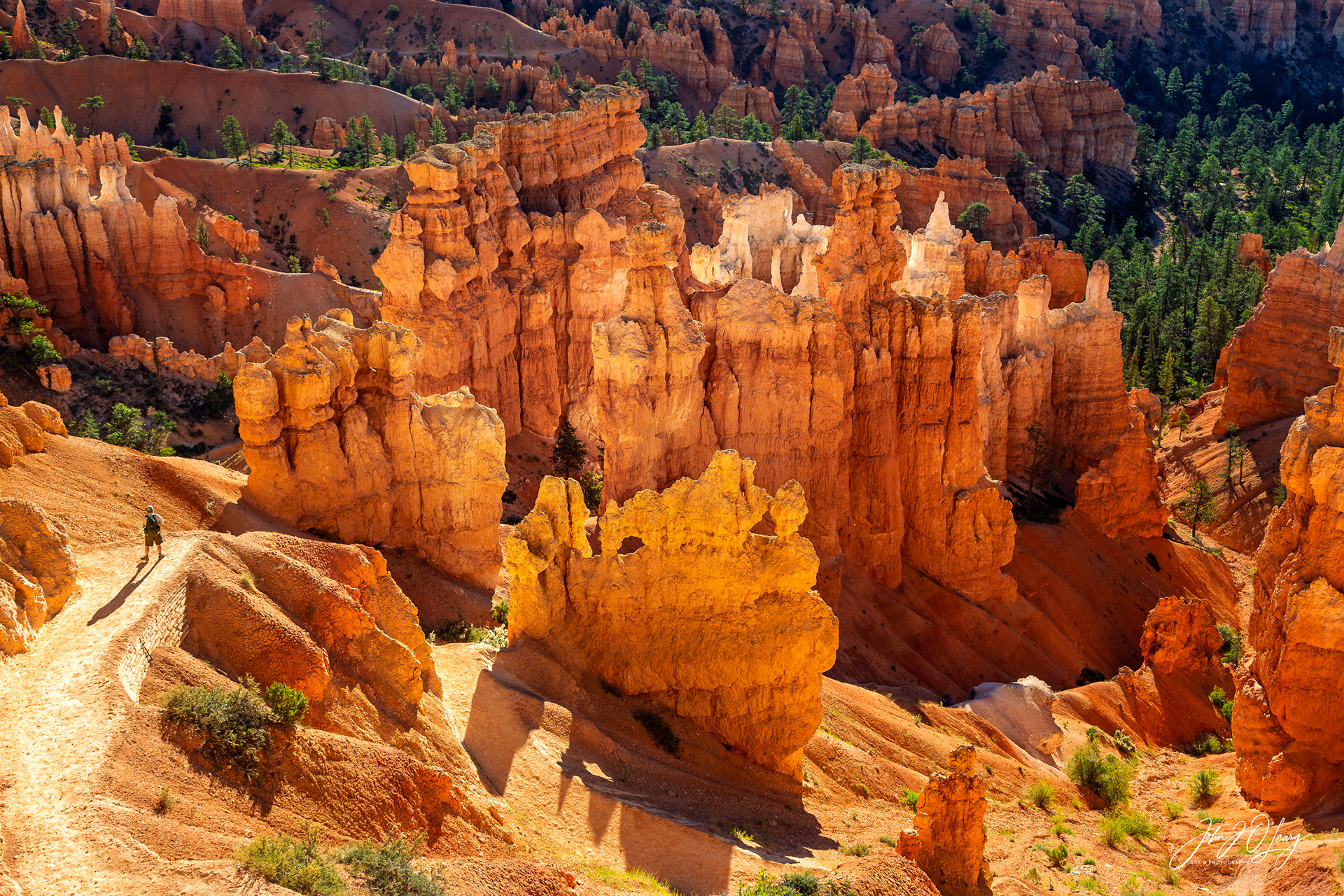 HIKER IN BRYCE CANYON - UTAH