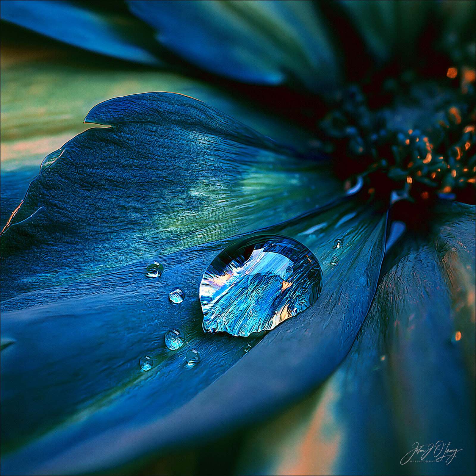 RAINDROPS ON BLUE FLOWER