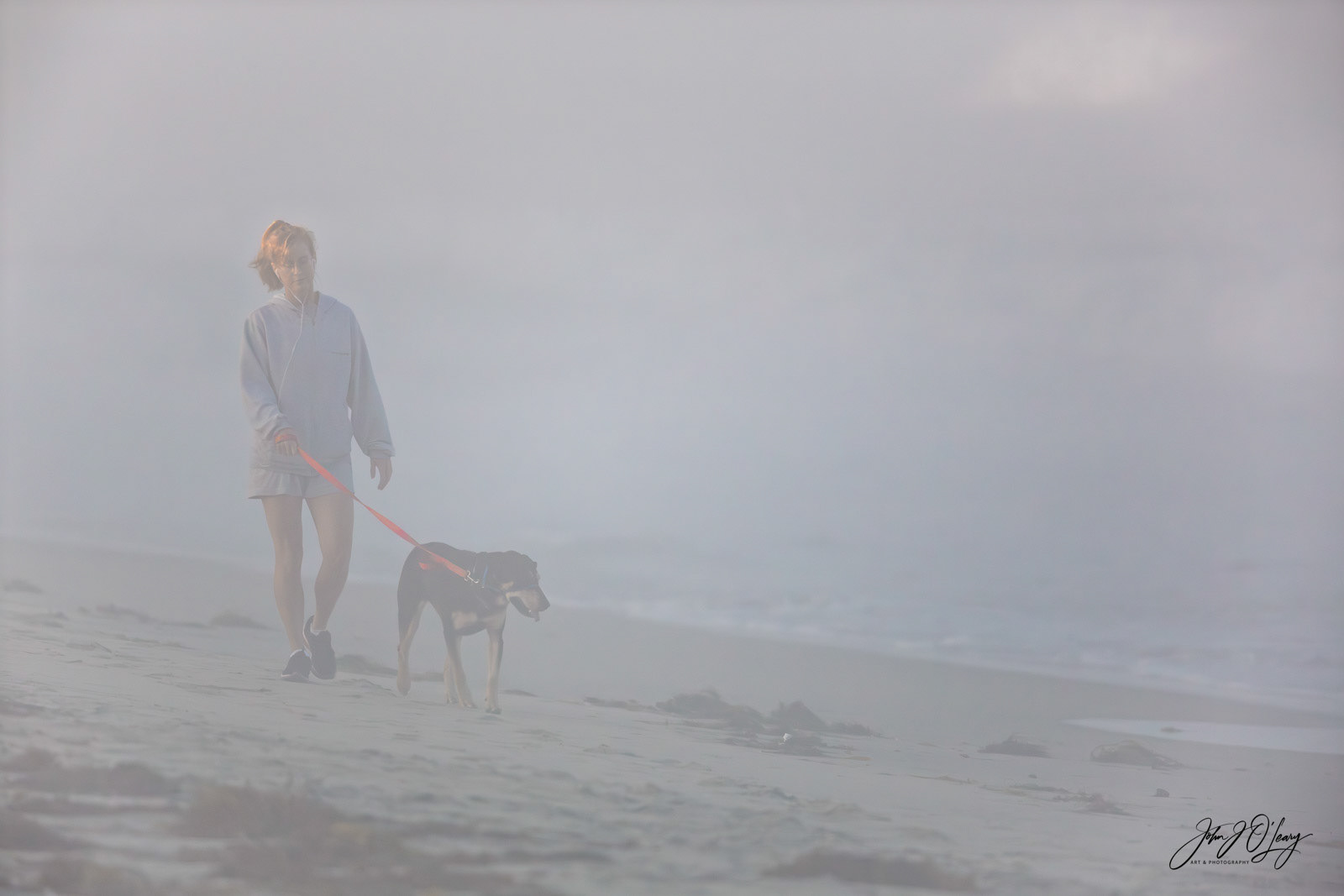 WALKING HER DOG IN THE FOG - CALIFORNIA