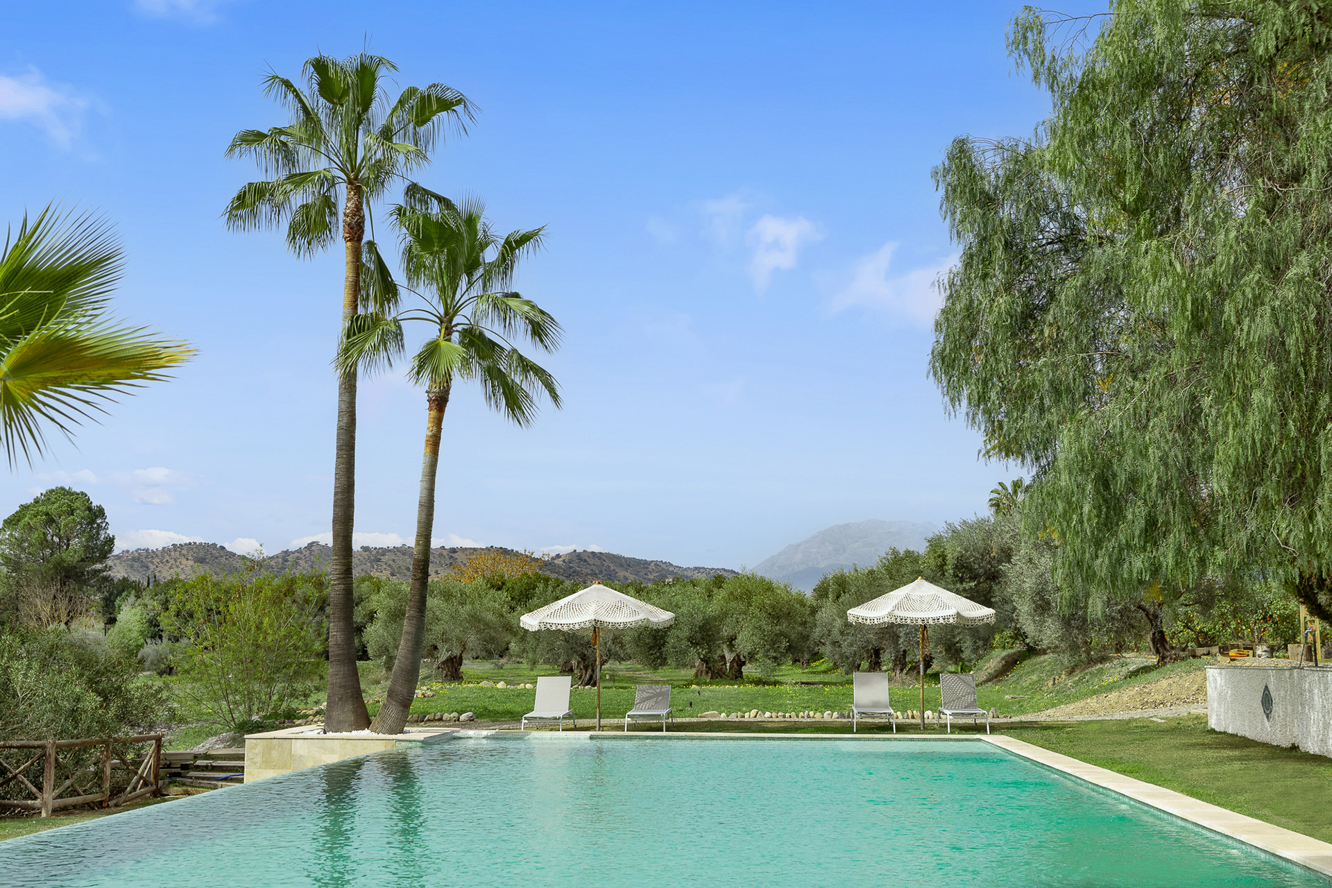 Peaceful B&B with infinity pool and palm trees in the Andalusian countryside, ideal for a relaxing guest experience.