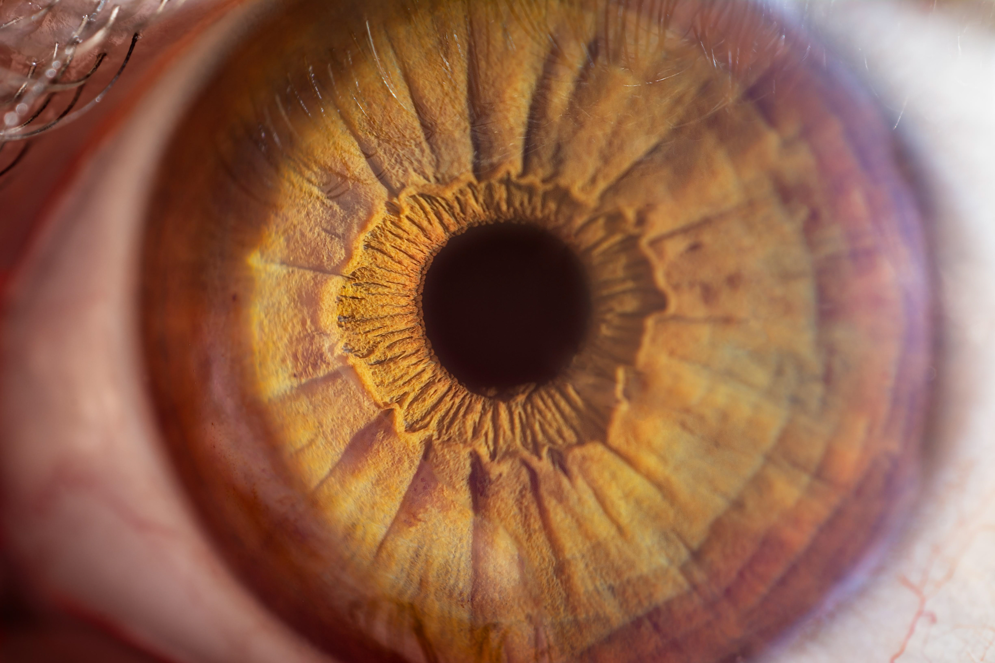 Jugando con el objetivo invertido