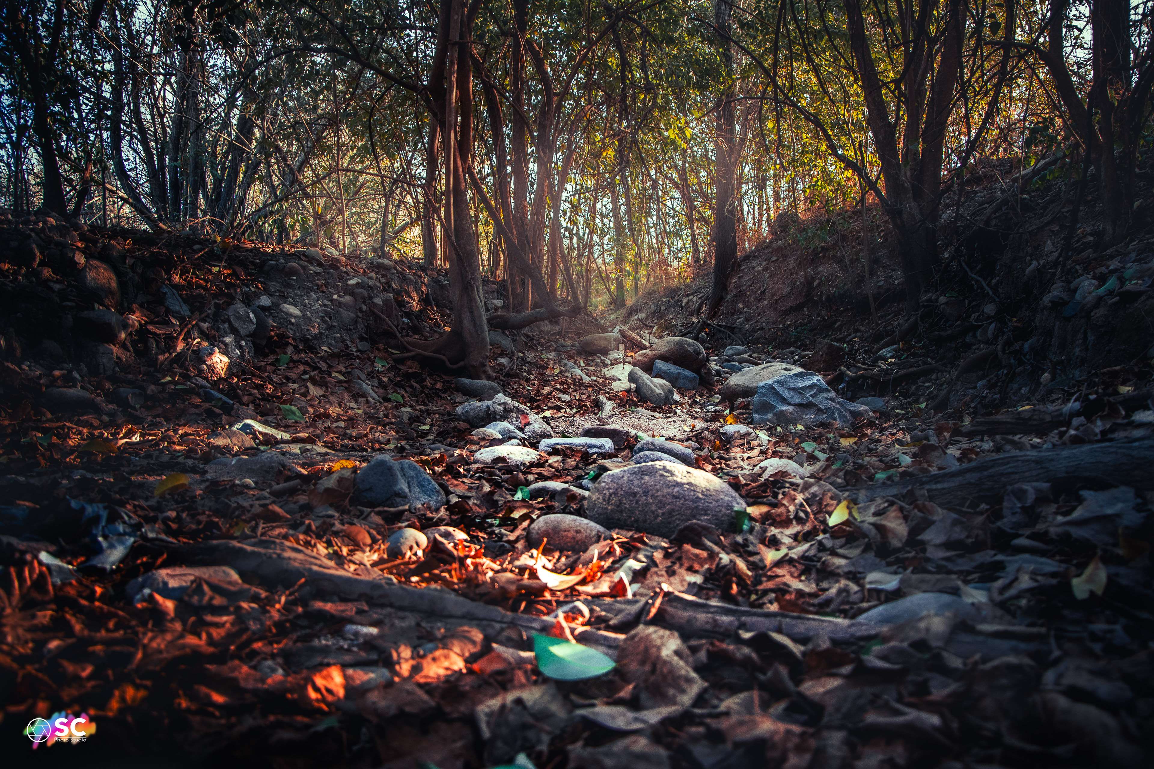 Reserva urbana San Martín