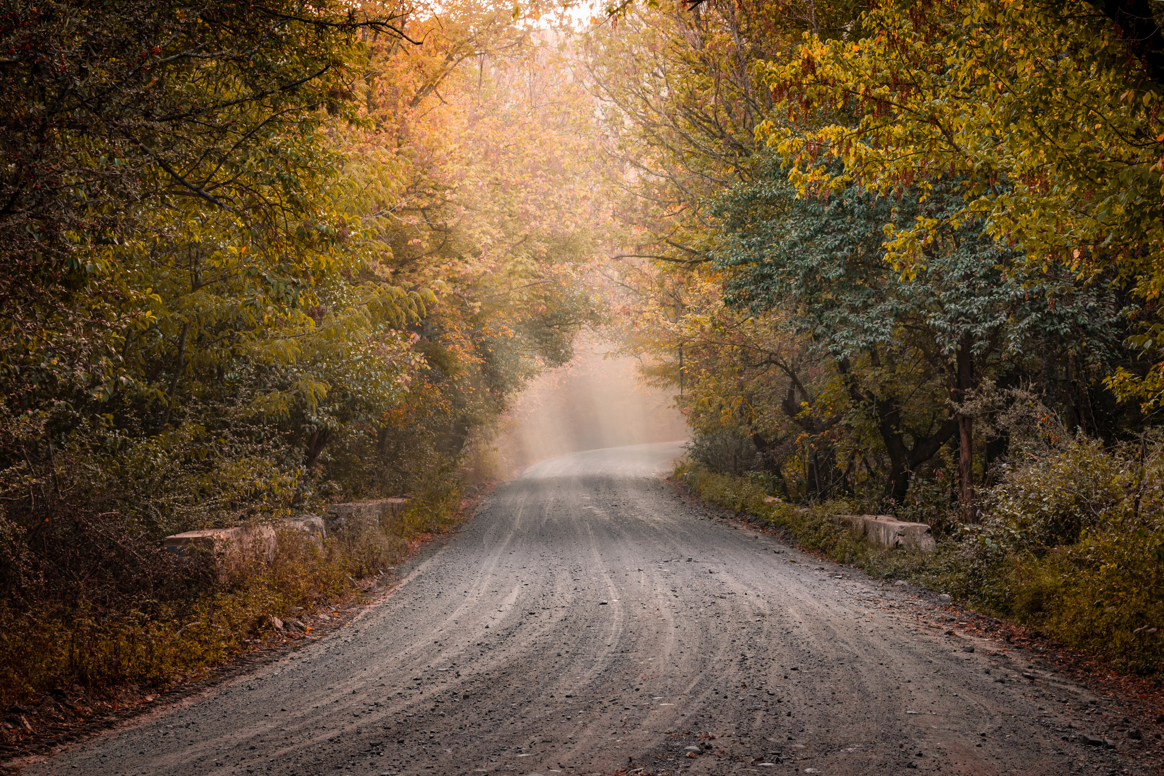 Camino al Cerro Pan de Azúcar