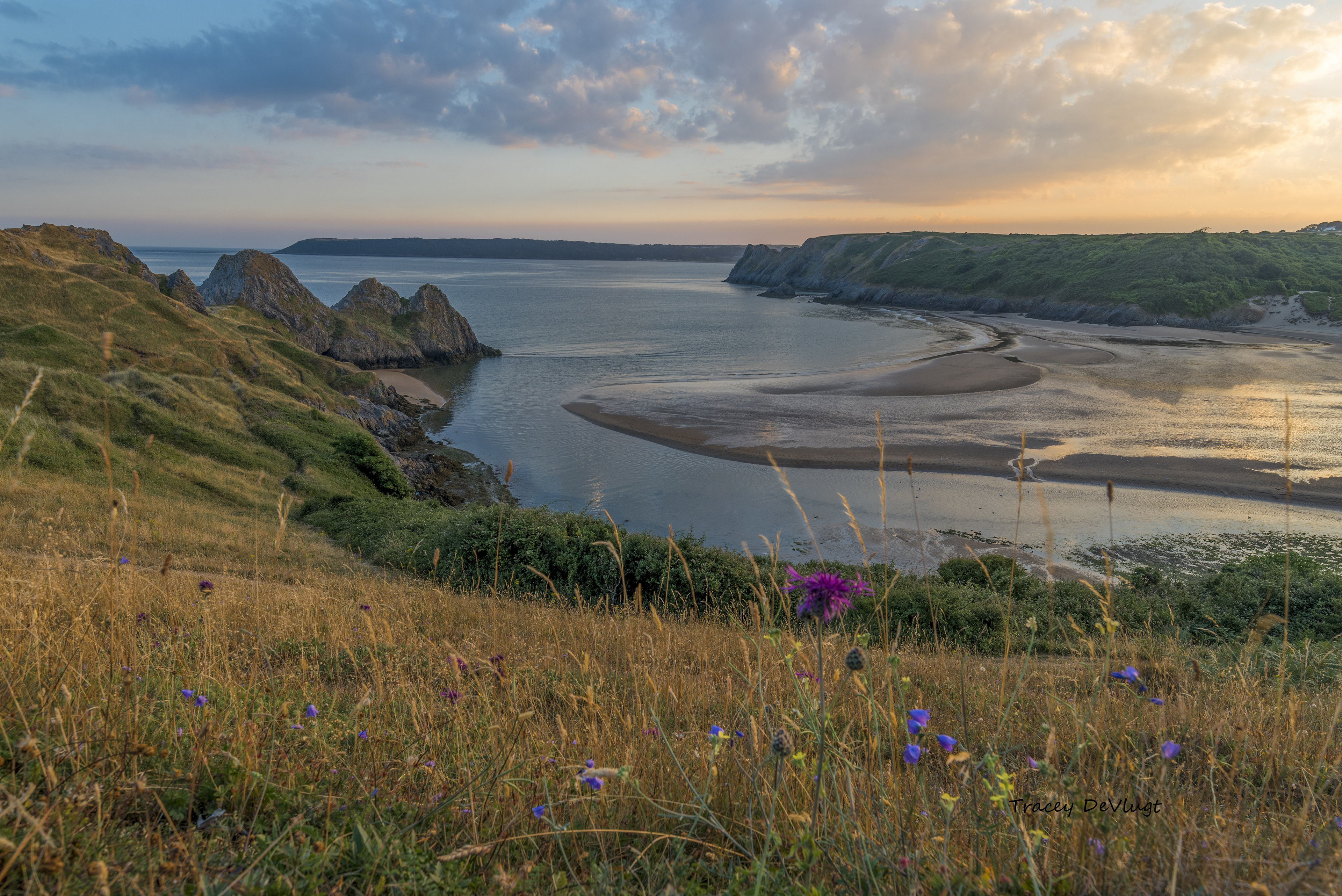 Three Cliffs Summer #20