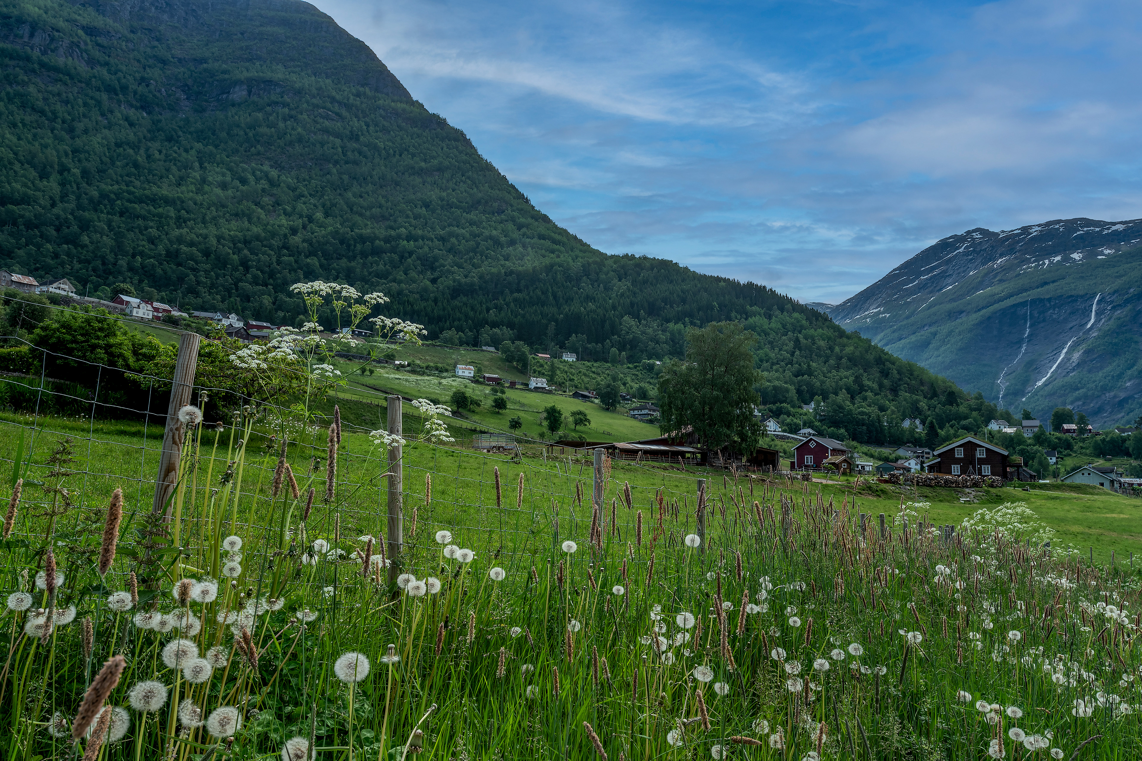 Skjoldon