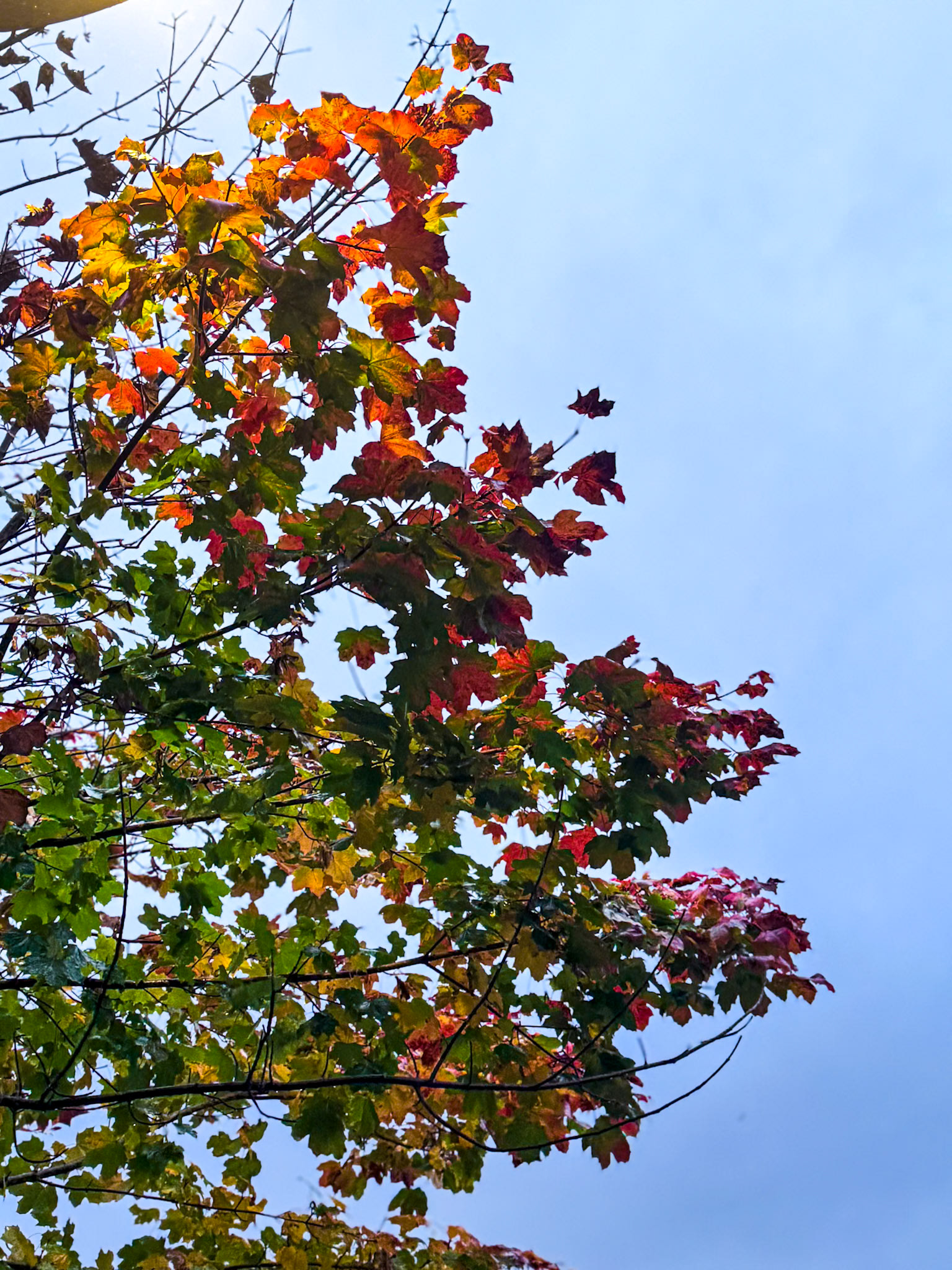 Fort William, Scotland
