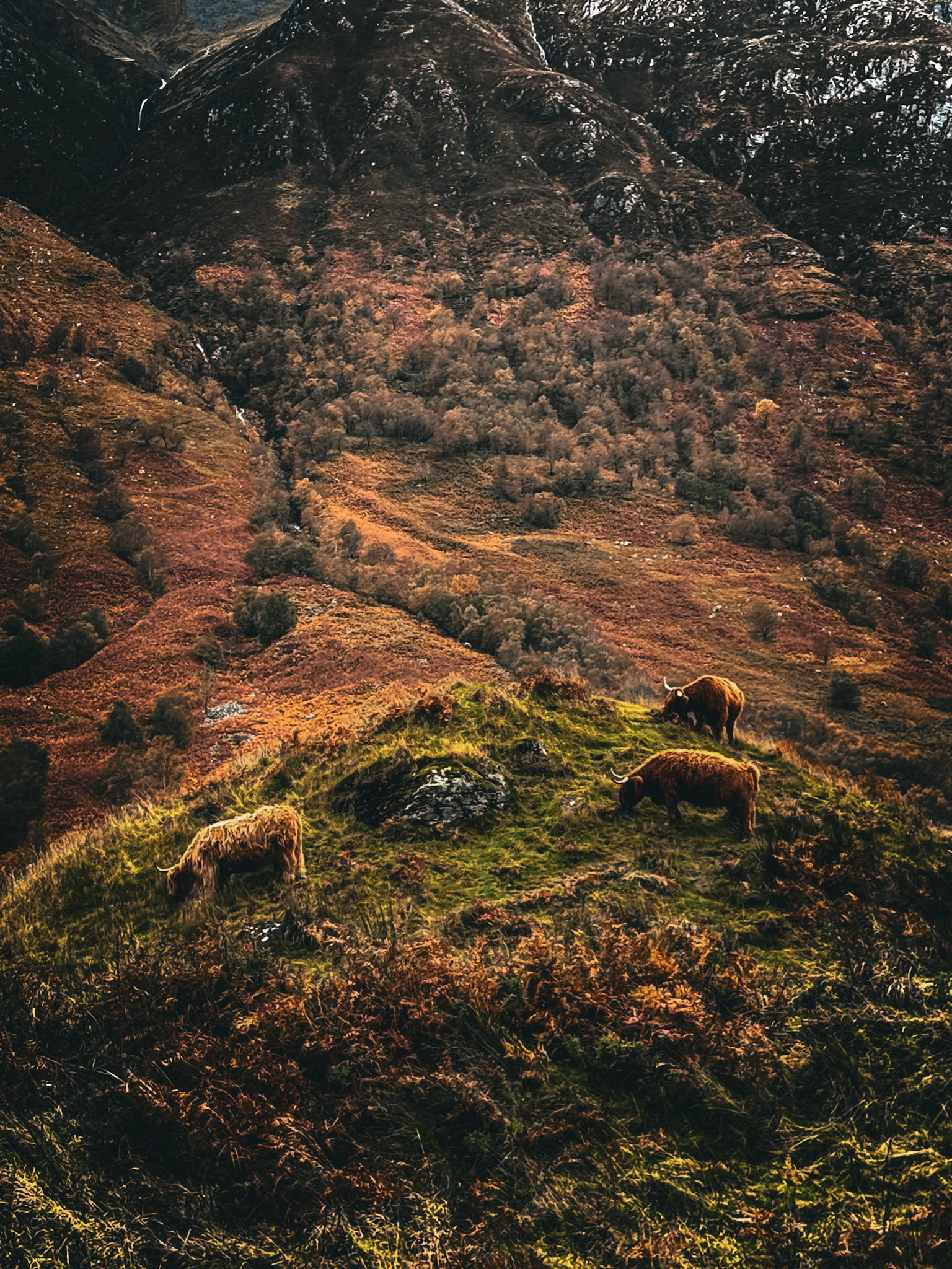 Western Highlands, Scotland