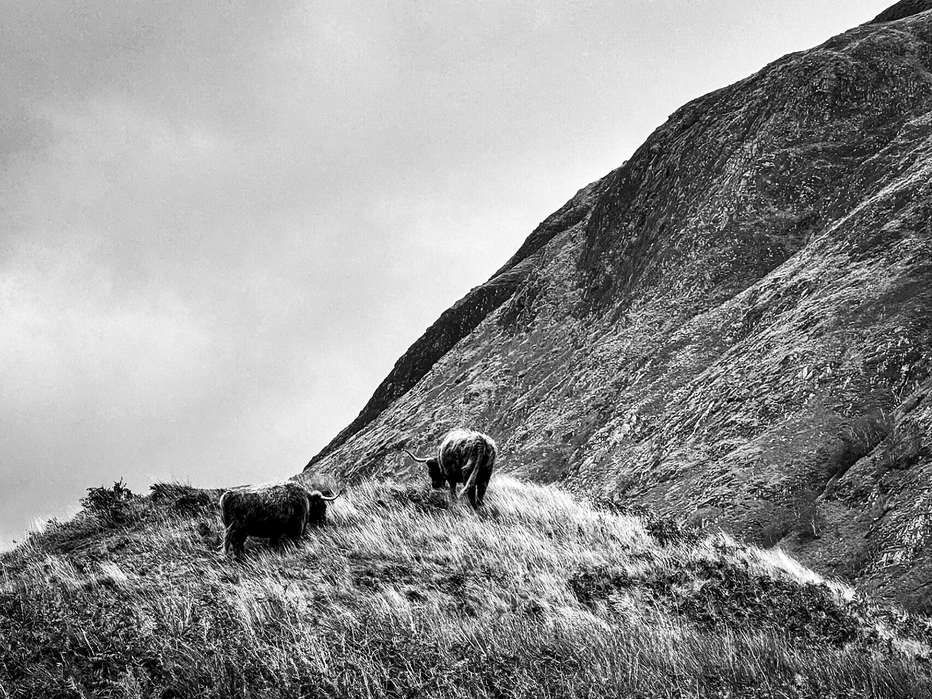 Western Highlands, Scotland