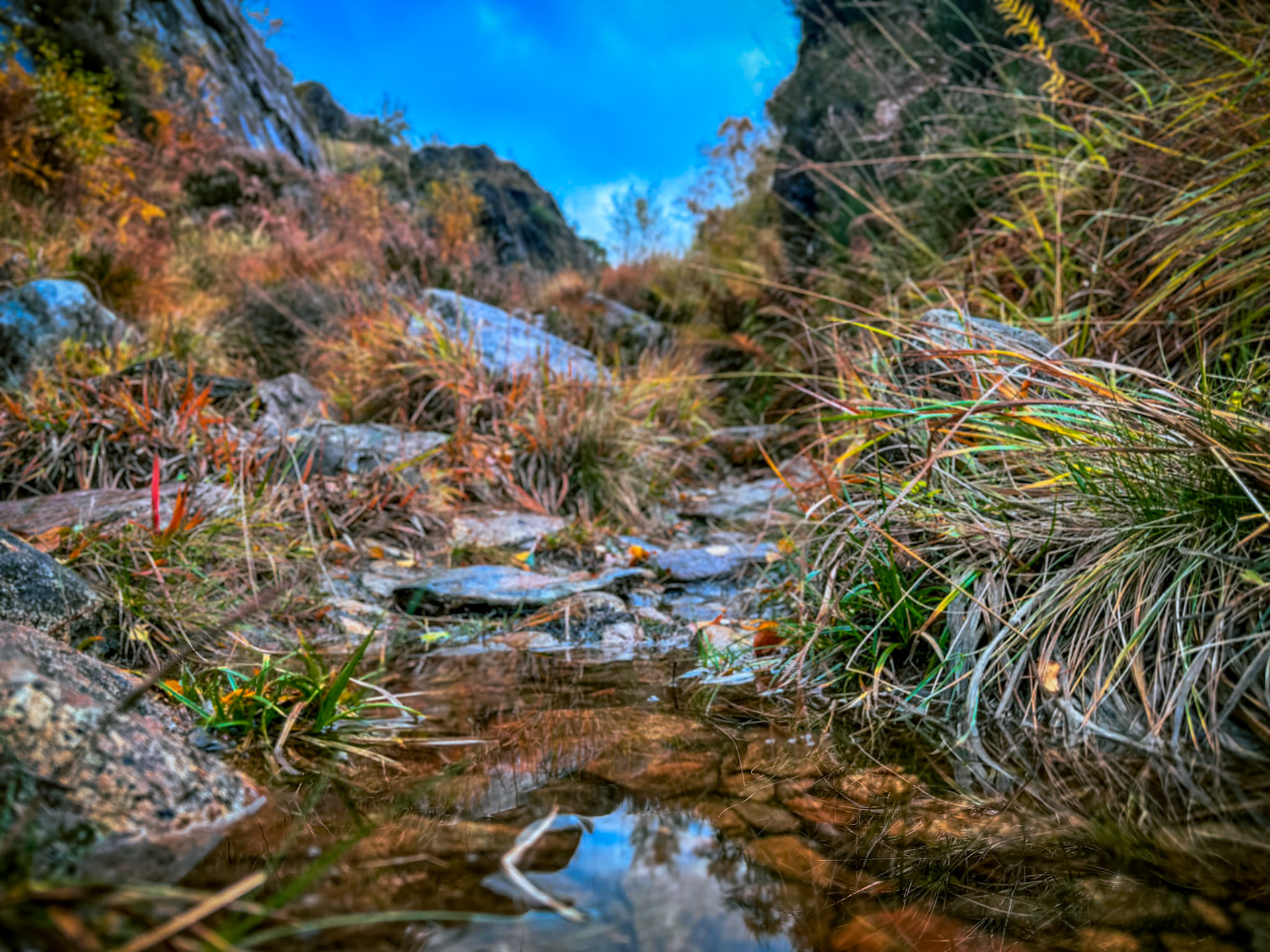 Western Highlands, Scotland