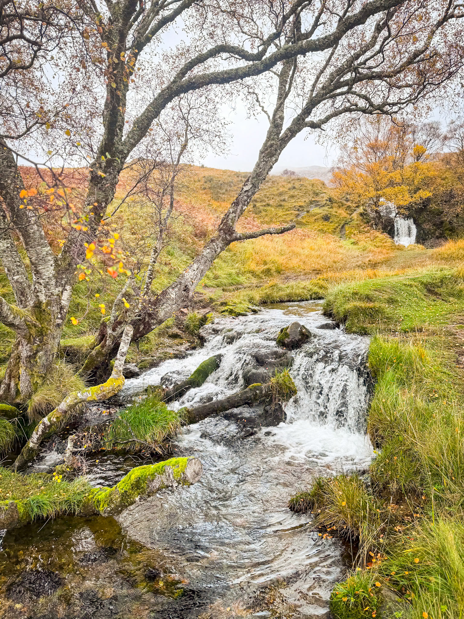 Western Highlands, Scotland