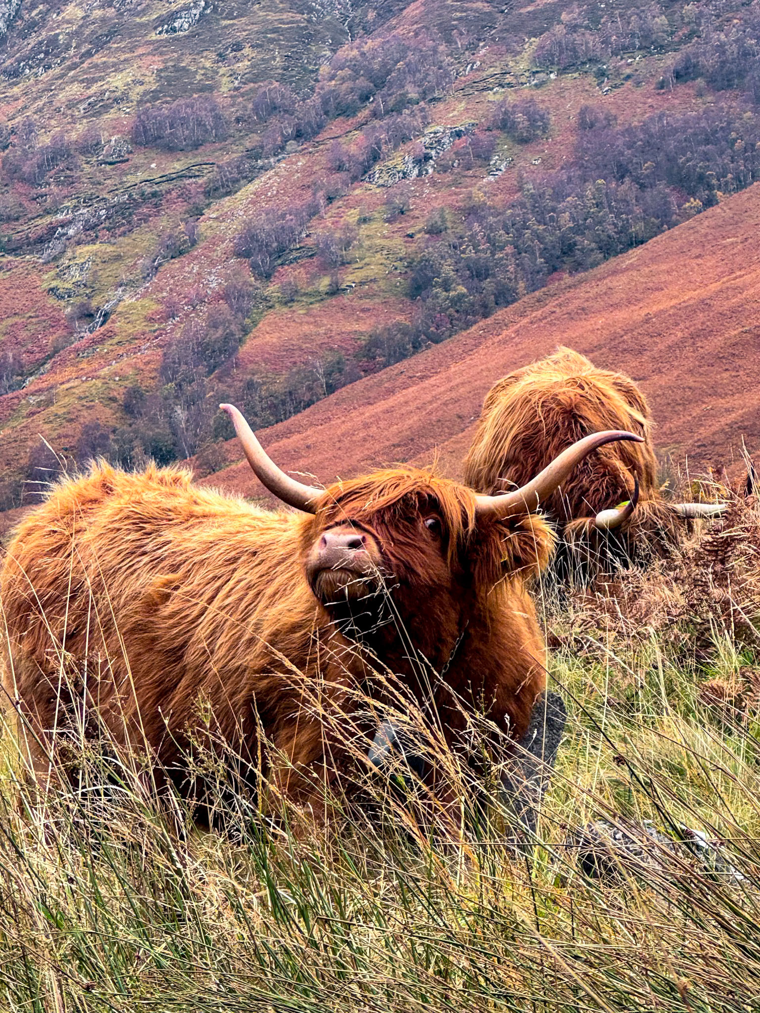 Western Highlands, Scotland