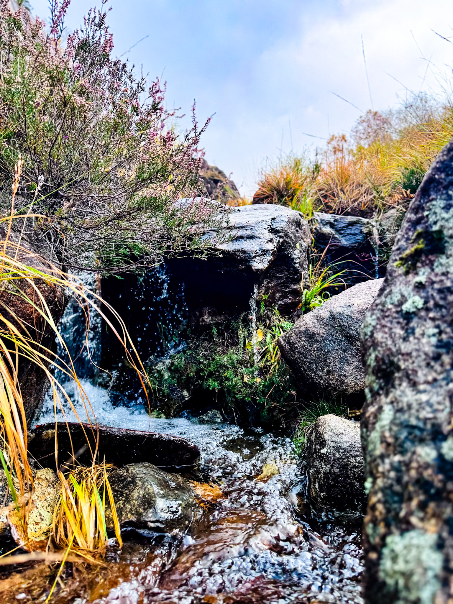 Western Highlands, Scotland