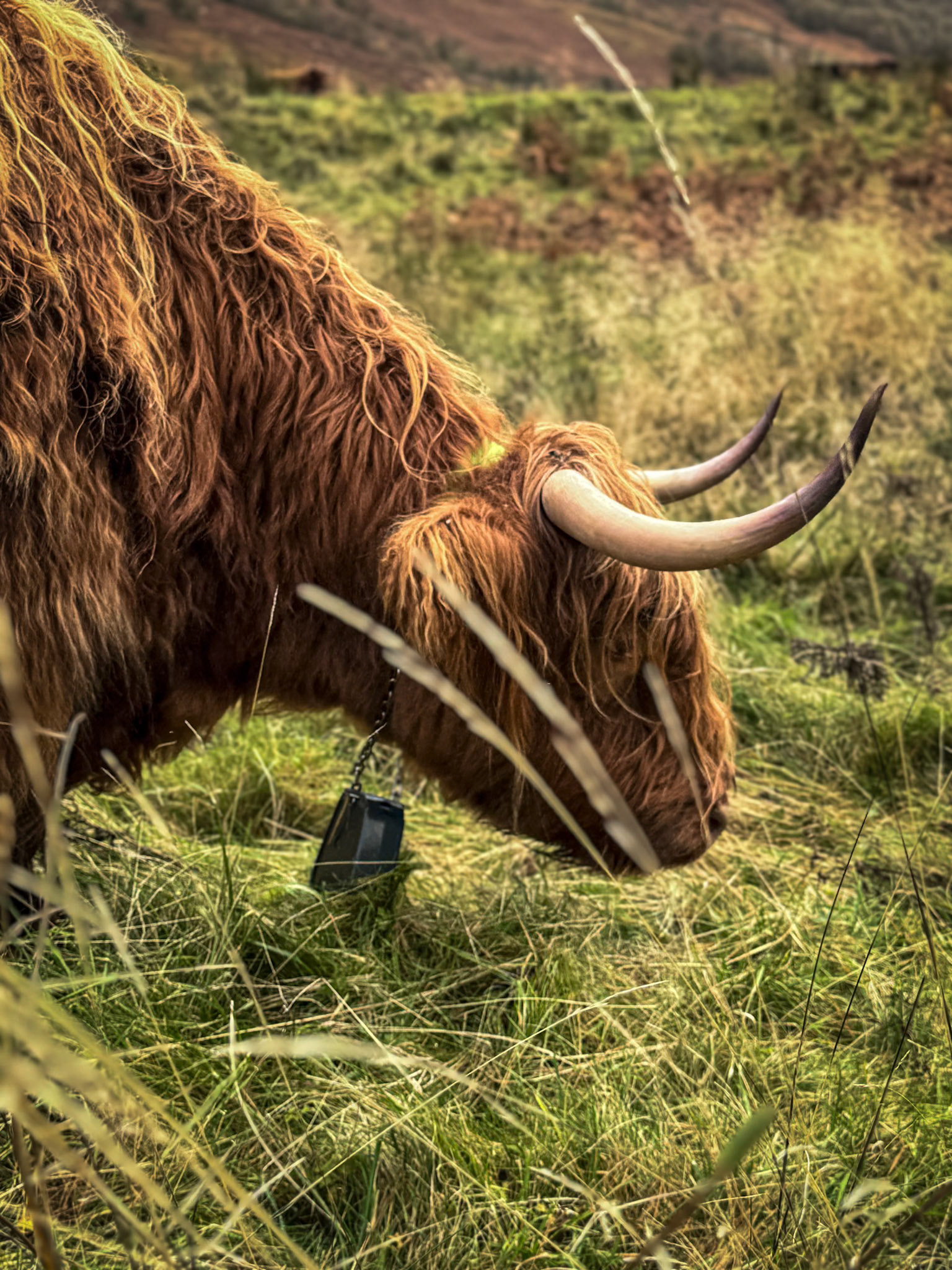 Western Highlands, Scotland
