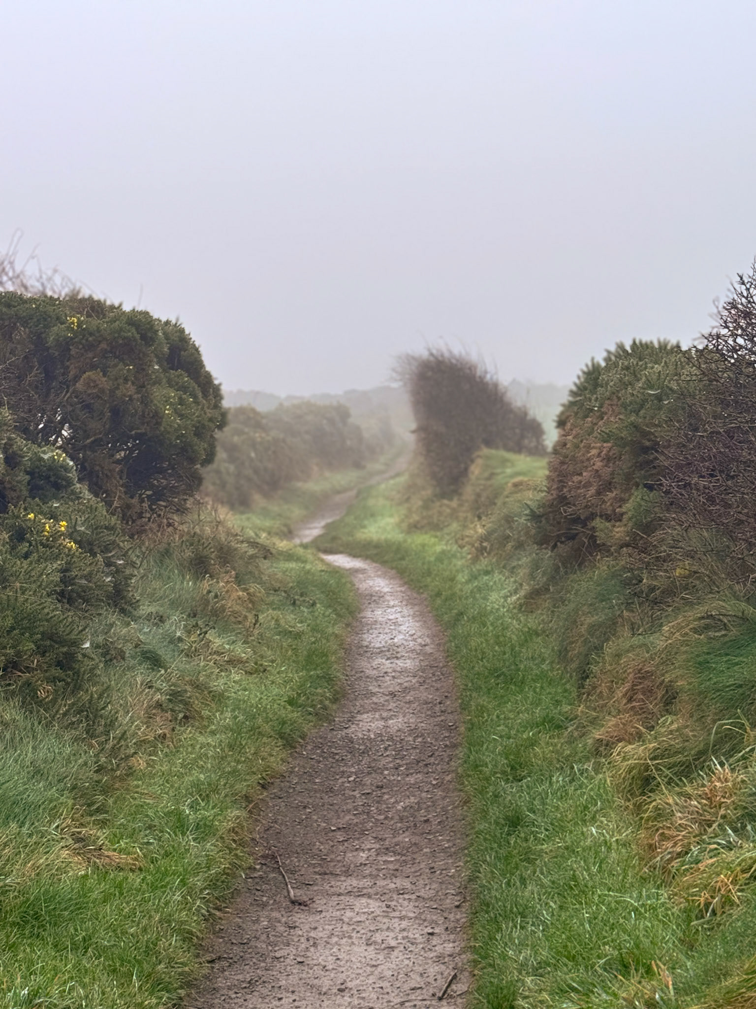 Giant’s Causeway, Northern Ireland