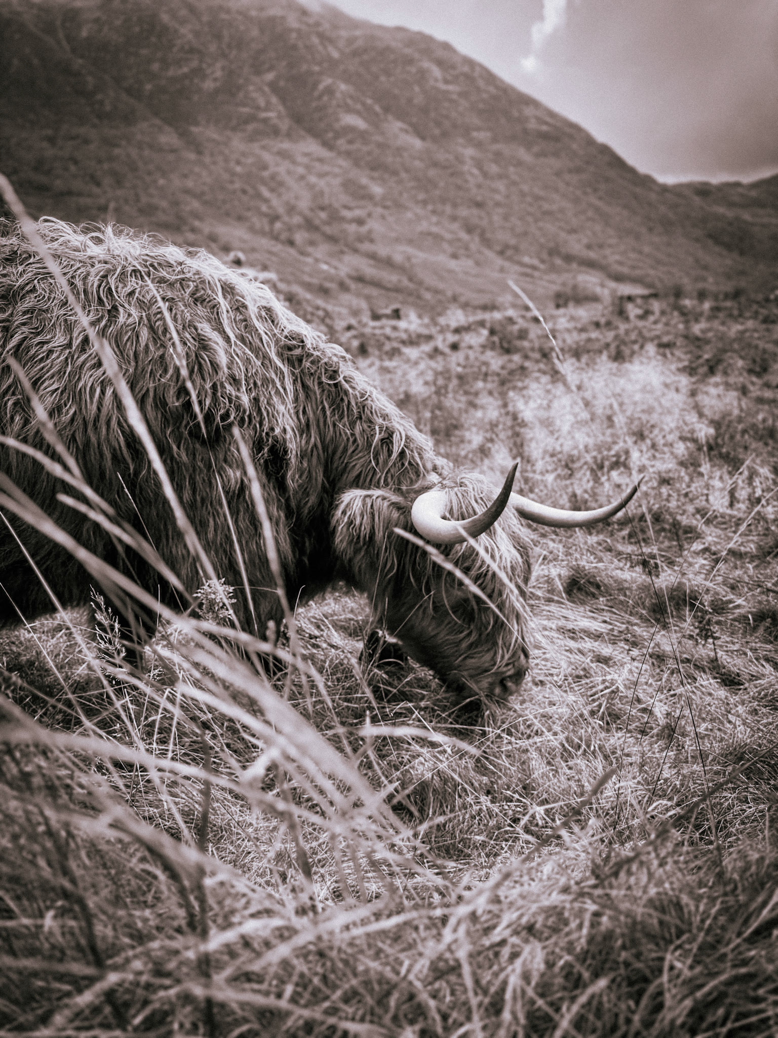 Western Highlands, Scotland