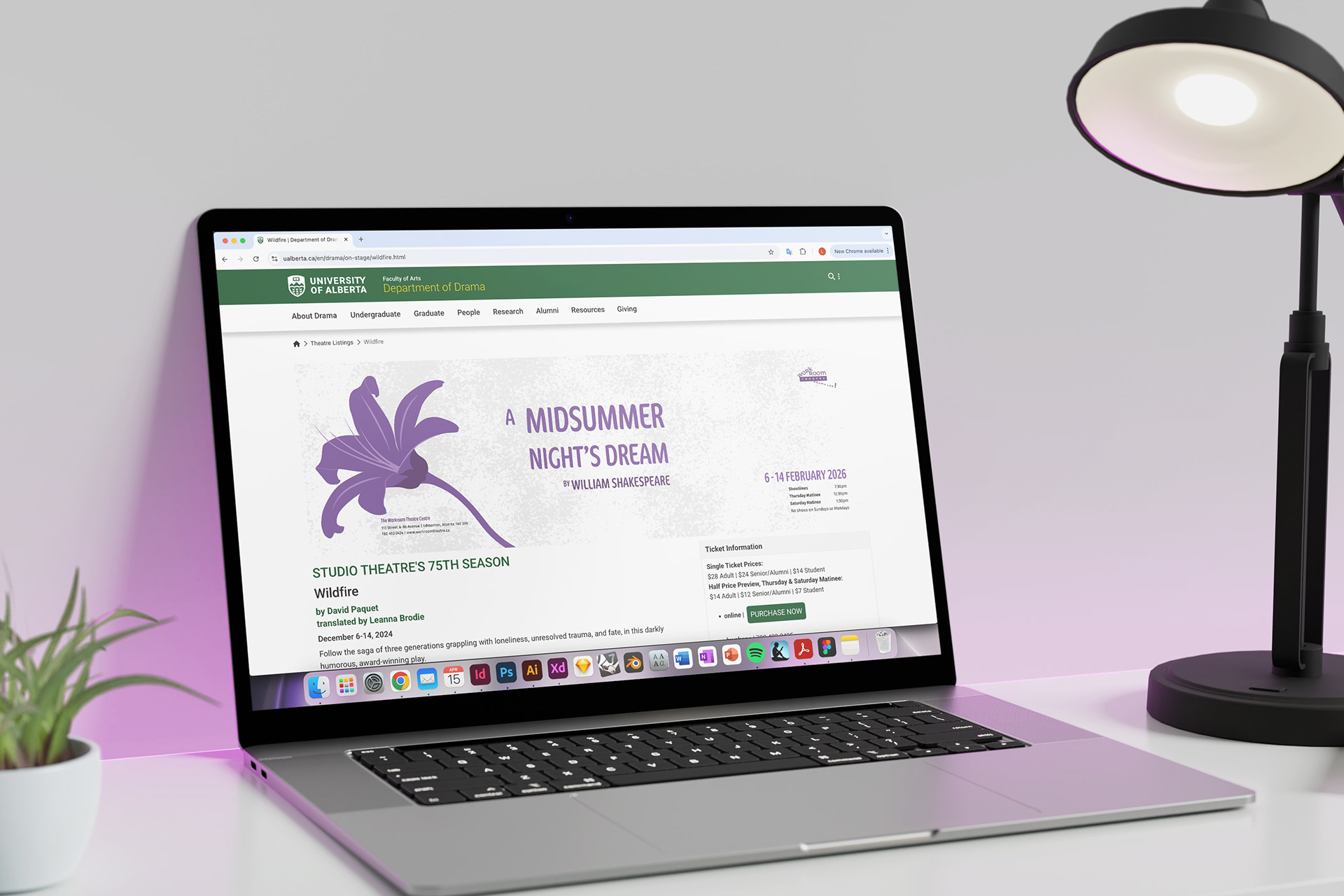 Long horizontal web banner sample