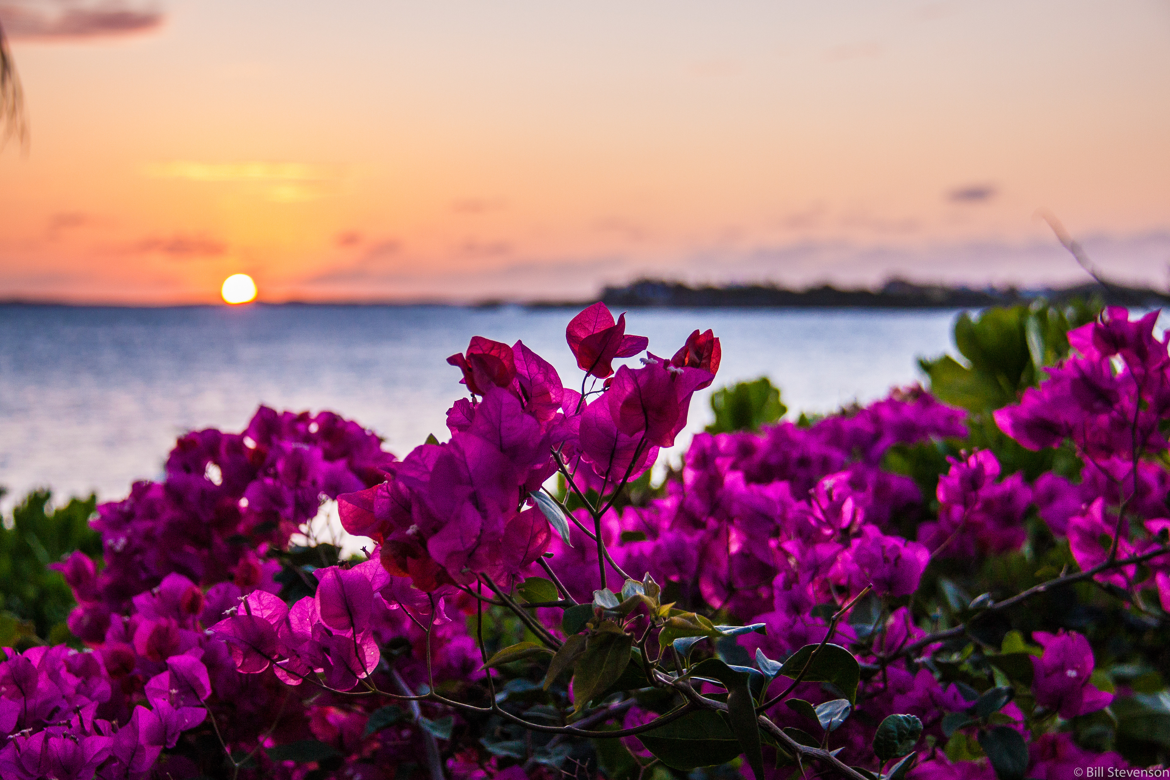 TAYLOR BAY SUNSET,  TURKS AND CAICOS
