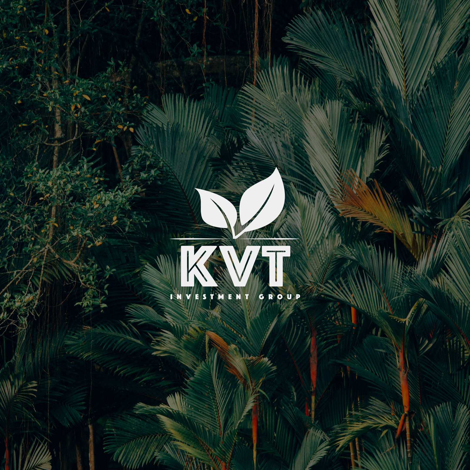 KVT Investment group