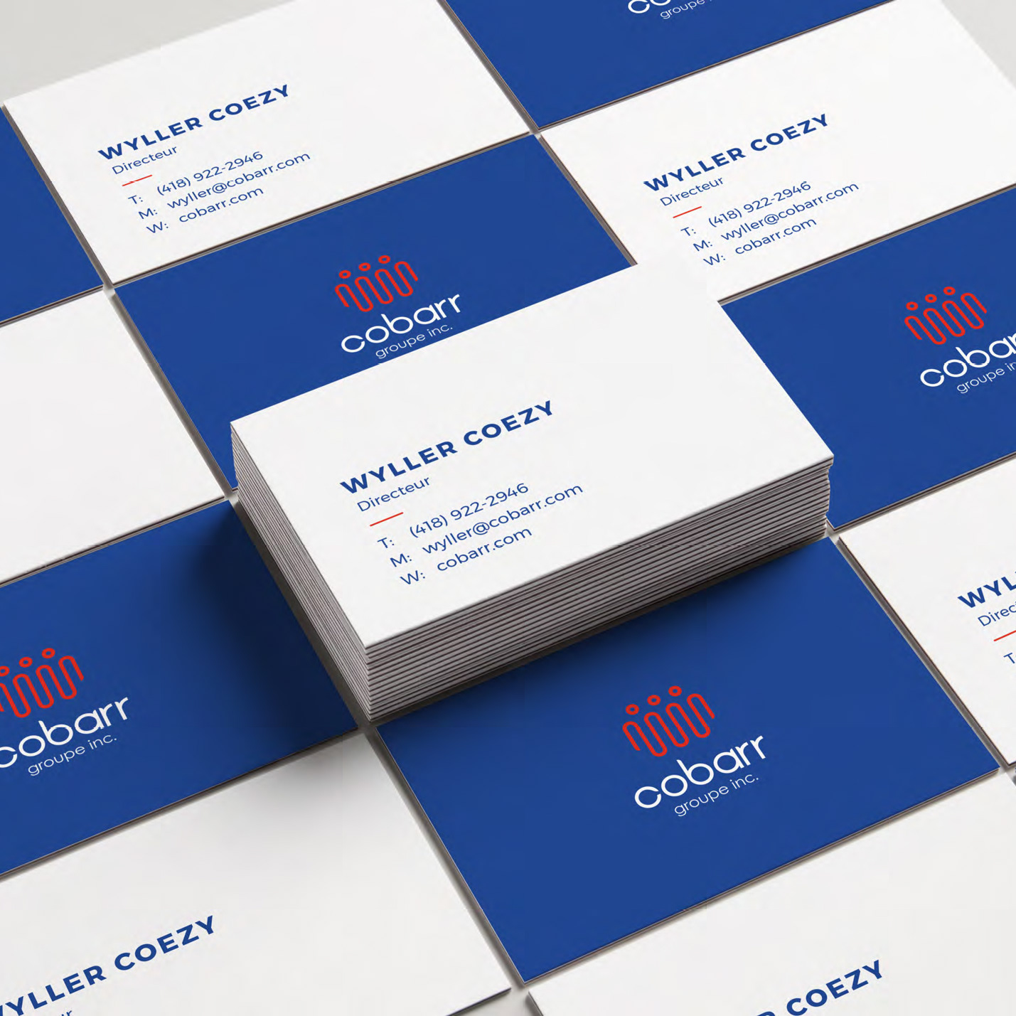 Cobarr Group Inc.