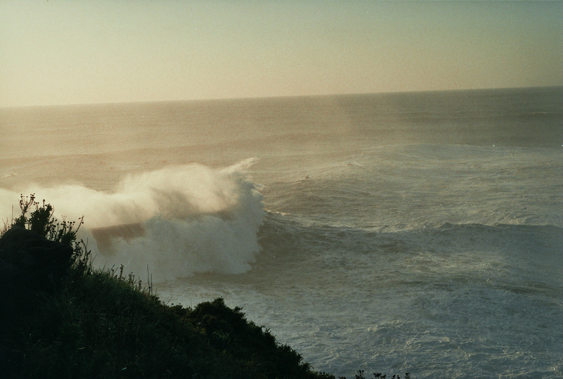 FUji C200