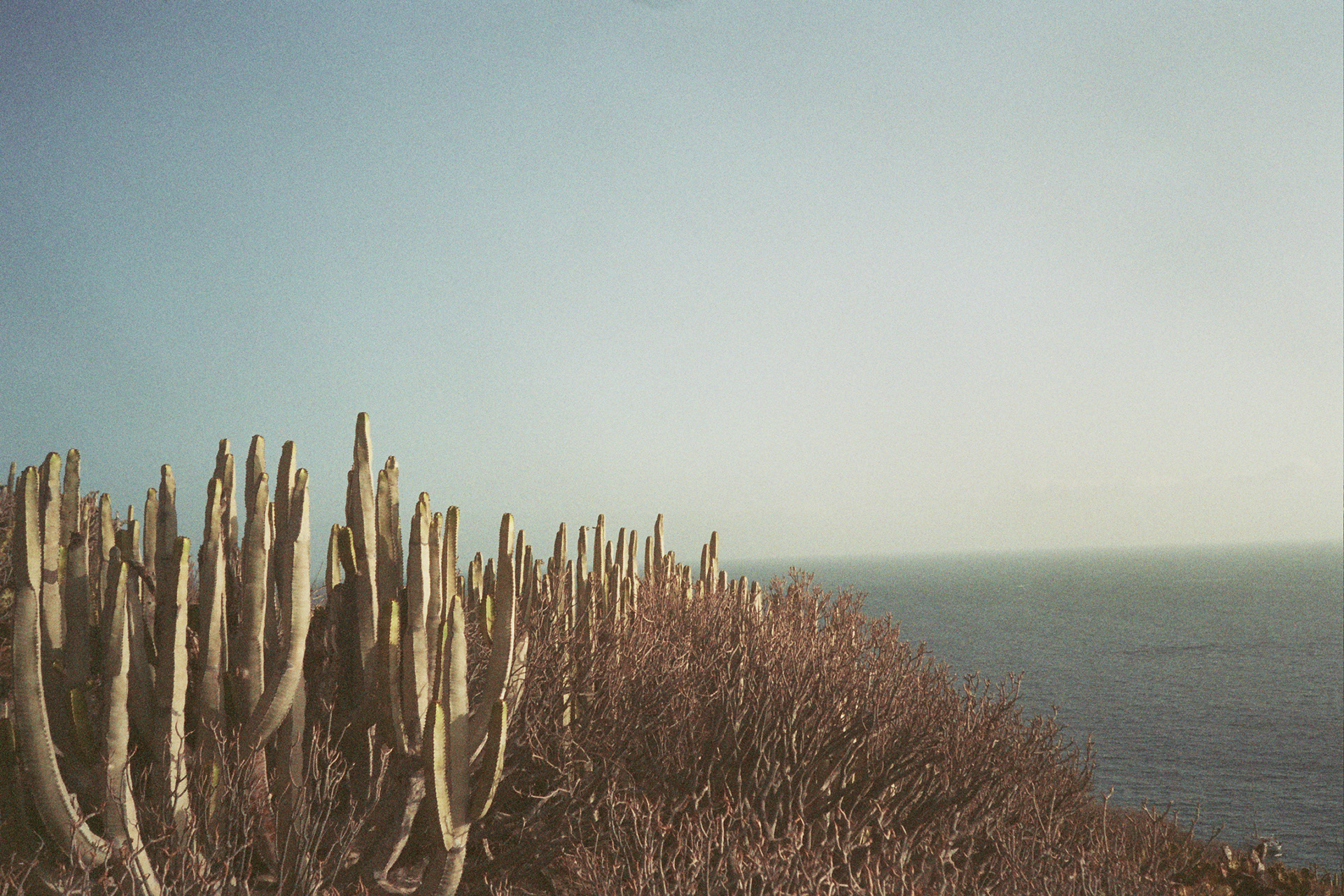 Kodak Gold 200