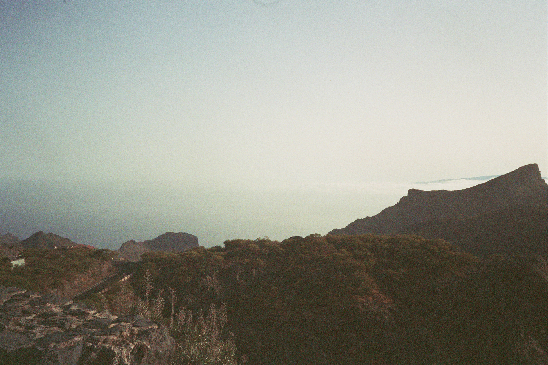 Kodak Gold 200