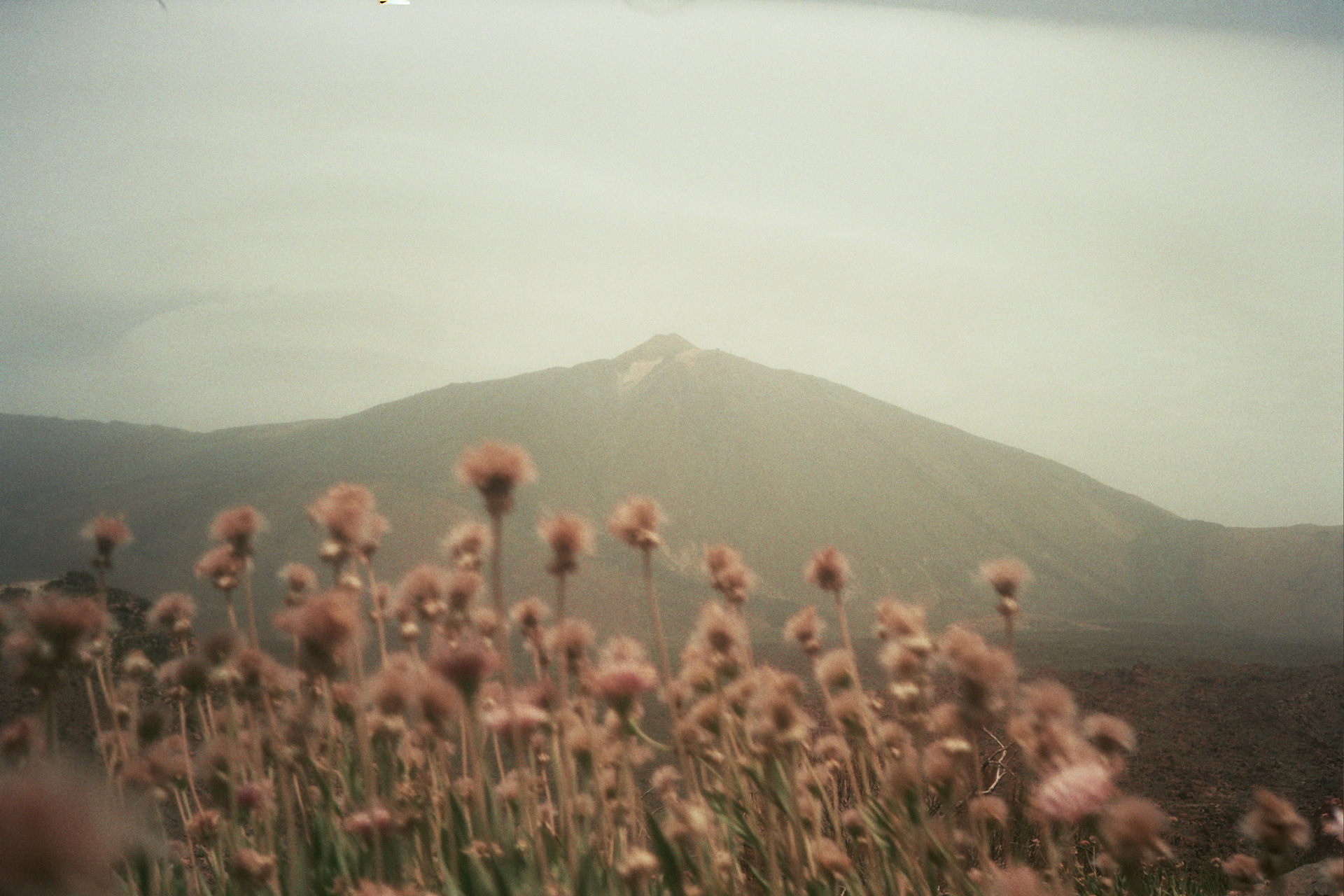 Kodak Gold 200
