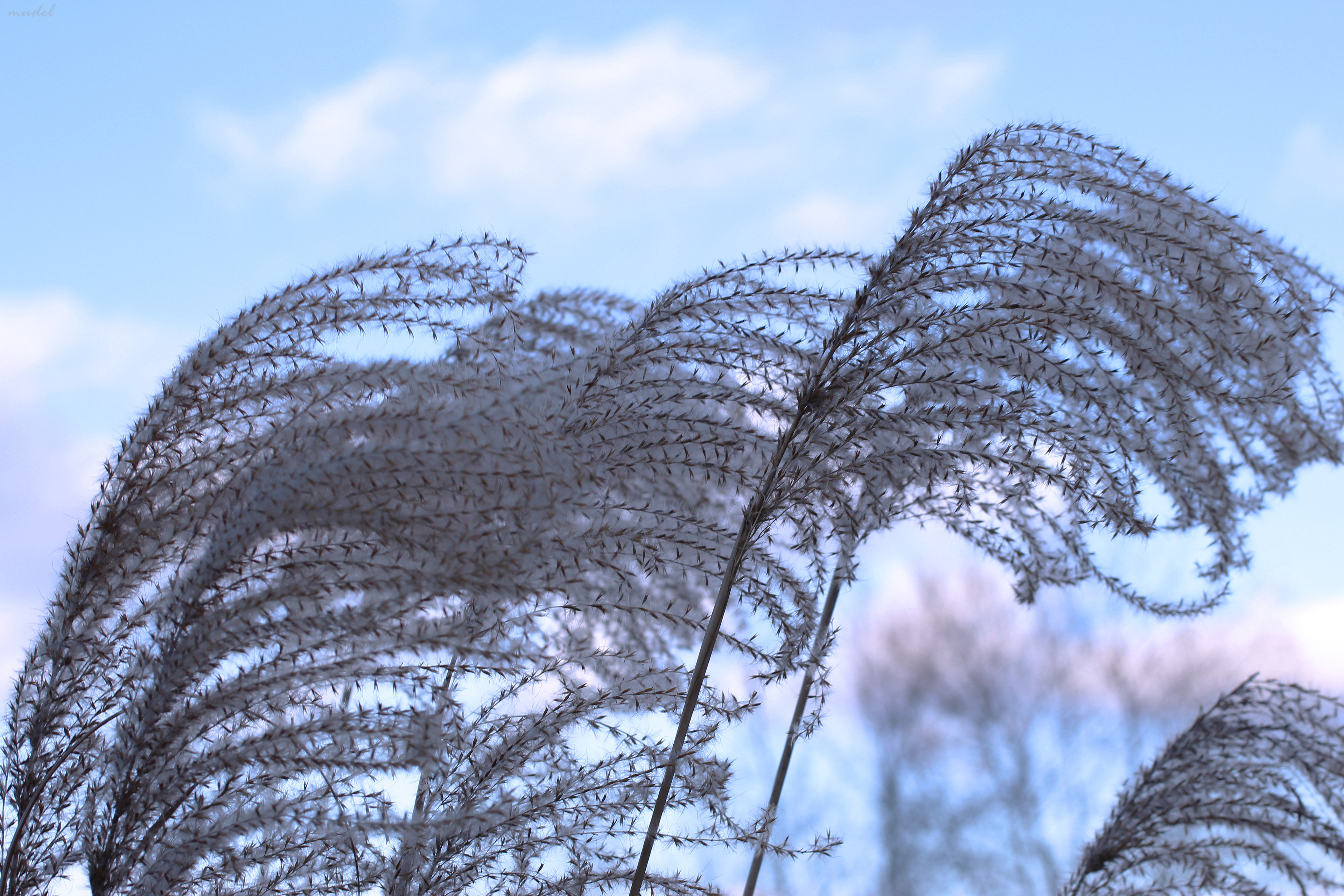 ethereal breeze